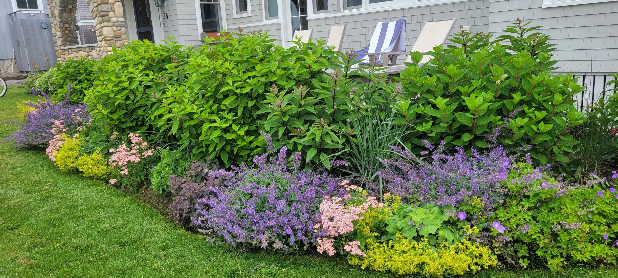 garden 58.jpg