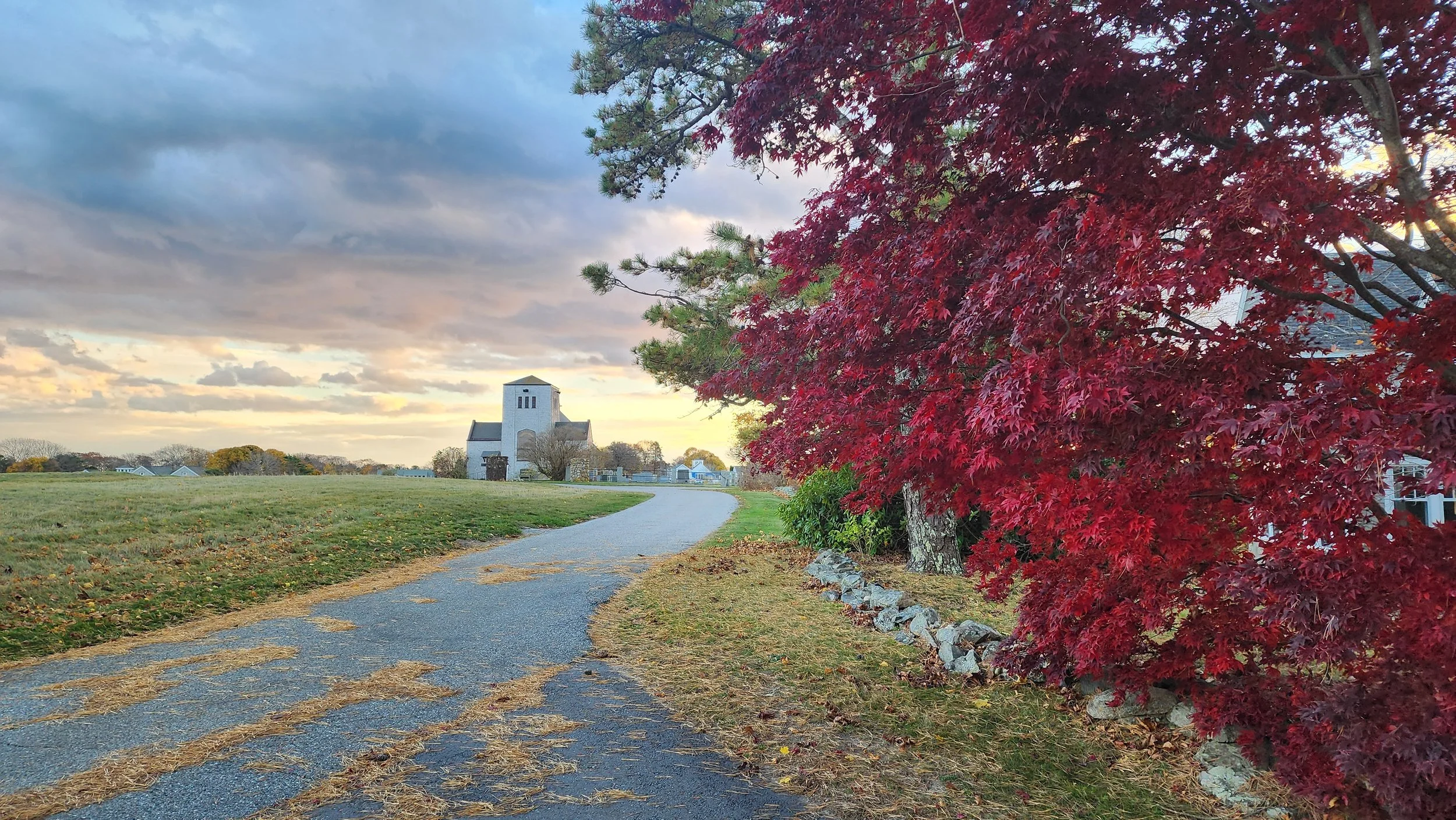 fall cleanup 2.jpg