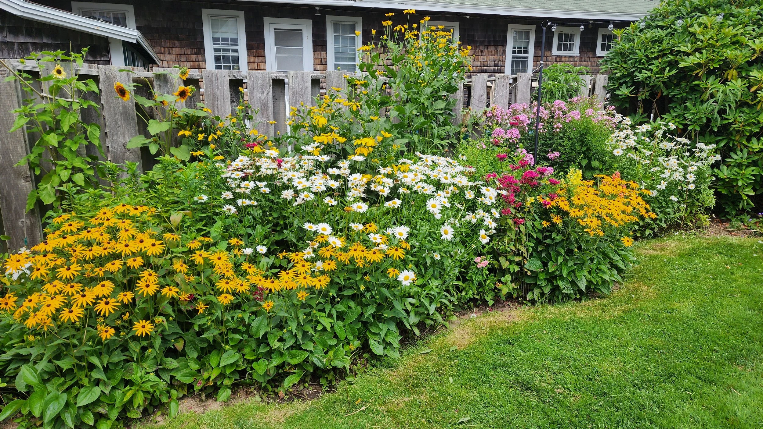 garden 24.jpg