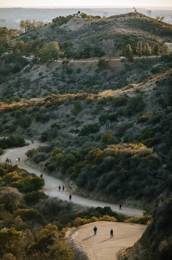 Hiking trail winding up a hilly landscape with numerous walkers, surrounded by trees and bushes, with a house on top of the hill.