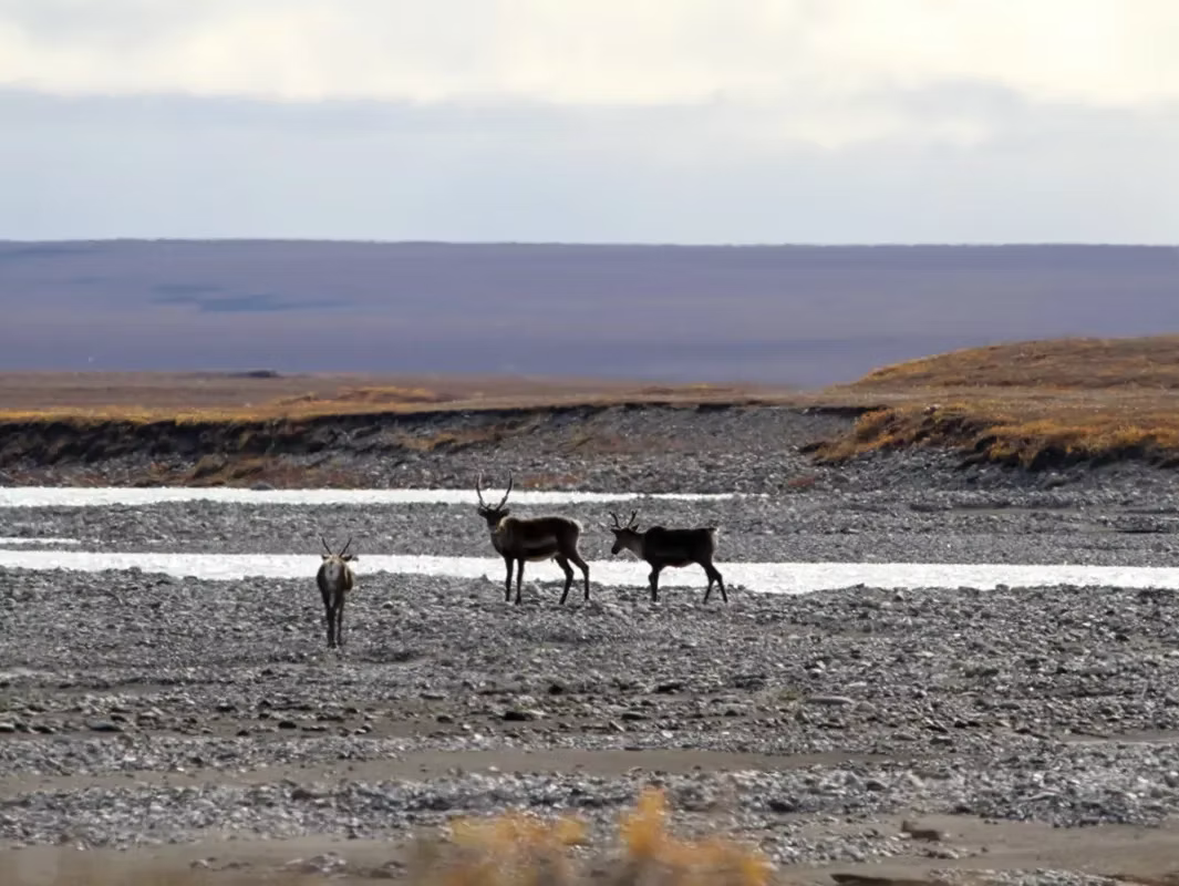 Congress is Selling Out America's Public Lands and Waters