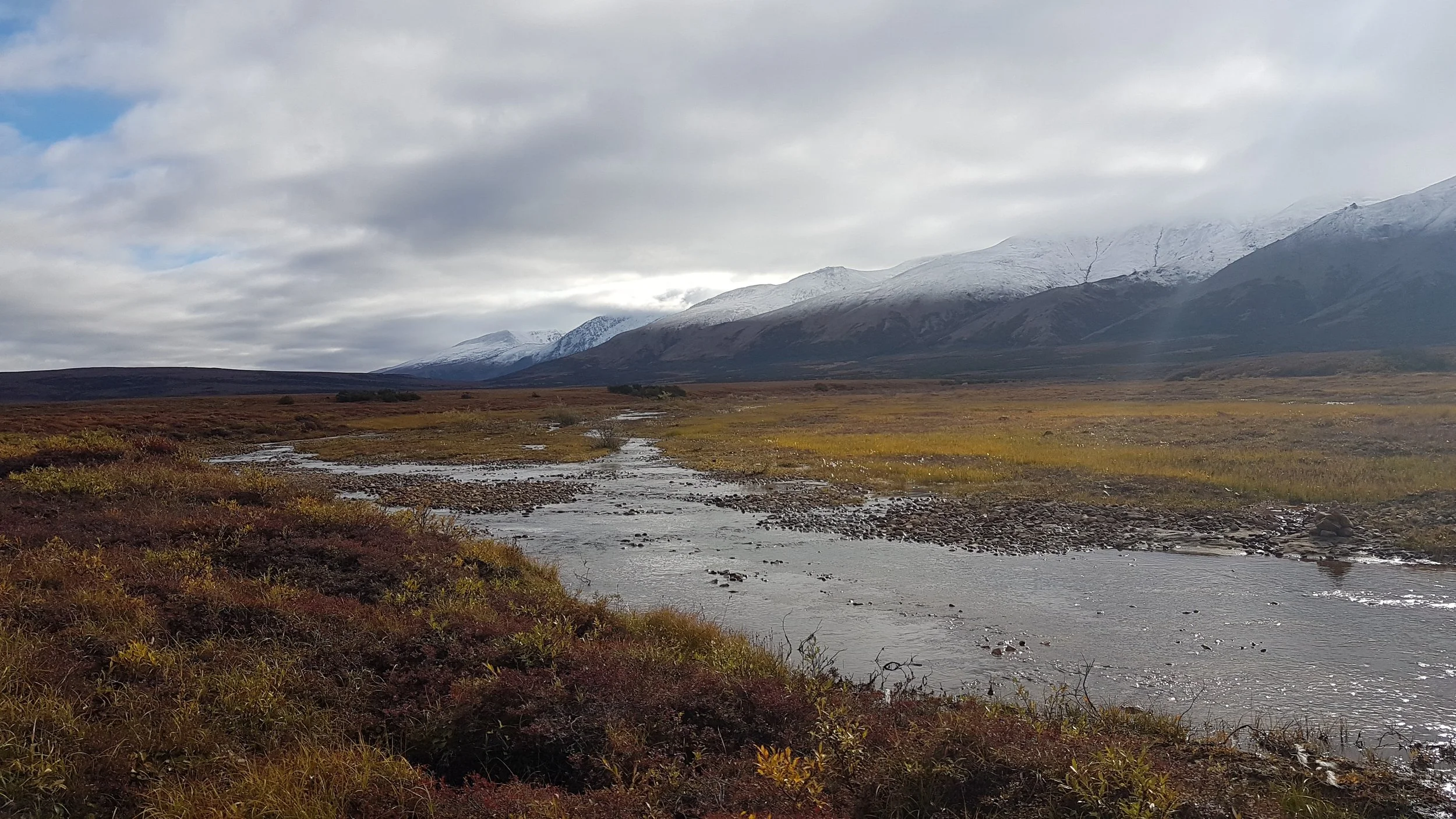 Protecting Subsistence Resources in the Imuruk Basin