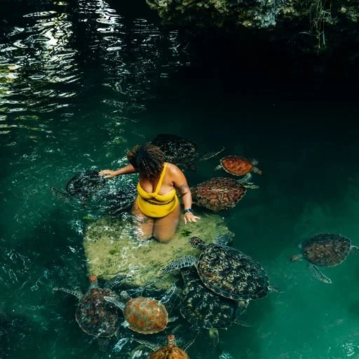 Vibes UnMatched found in a yellow swimsuit sitting on a rock in a body of water surrounded by turtles.