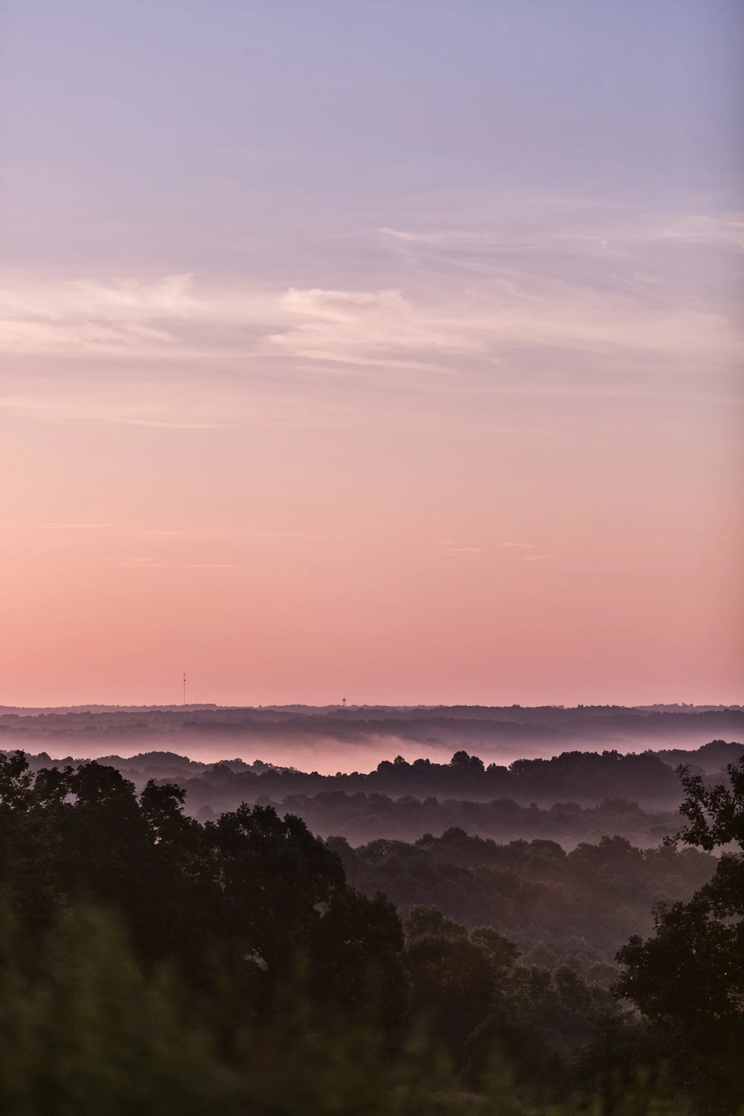 A landscape scene of rolling hills covered with trees, layered, with a light mist or fog. The sky is soft pastel colors of pink, purple, and blue with some light clouds, during twilight or dawn.
