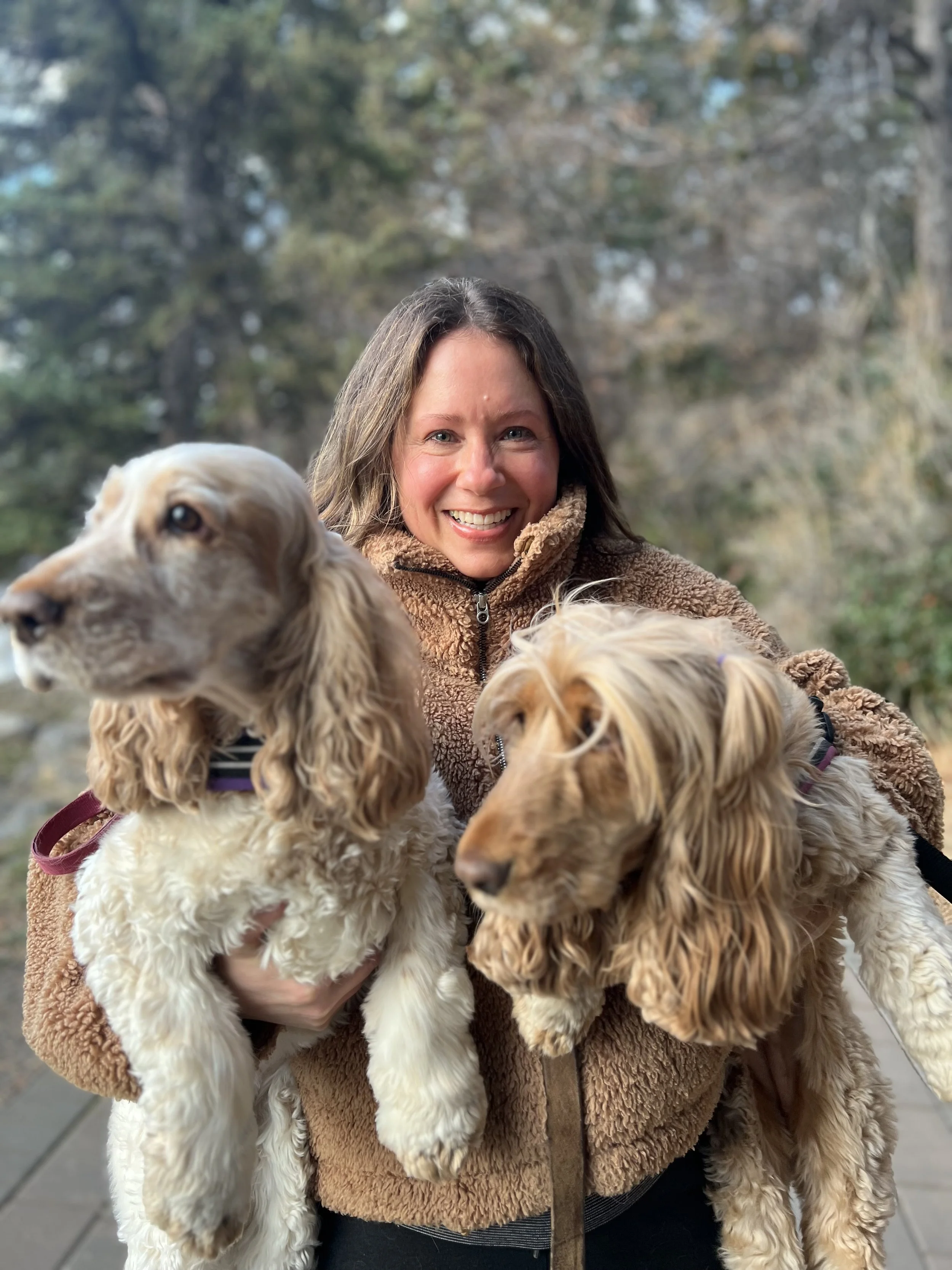 A woman smiling, holding three Cocker Spaniel puppies outdoors with trees in the background.