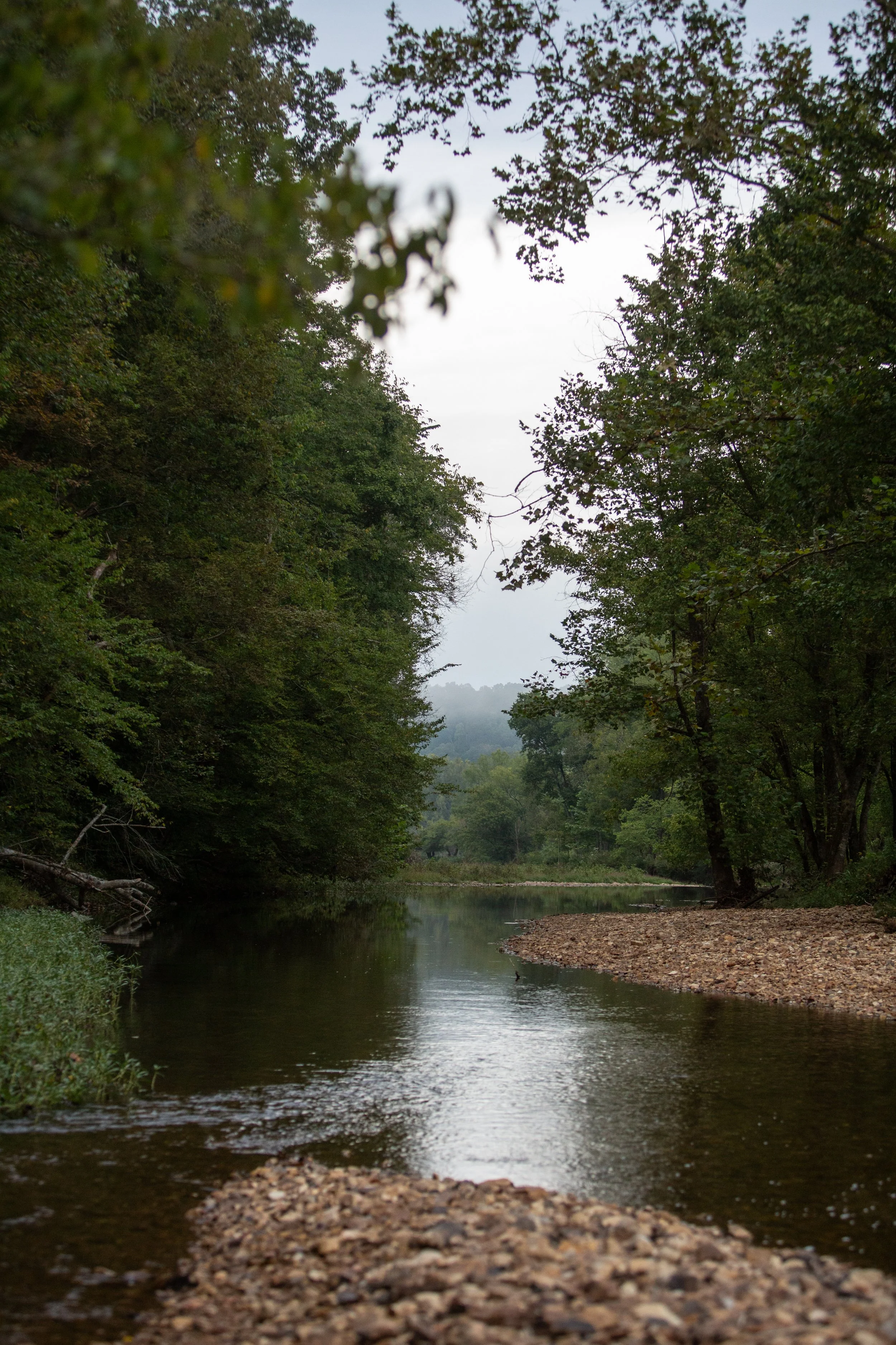 5d7b0959.jpg