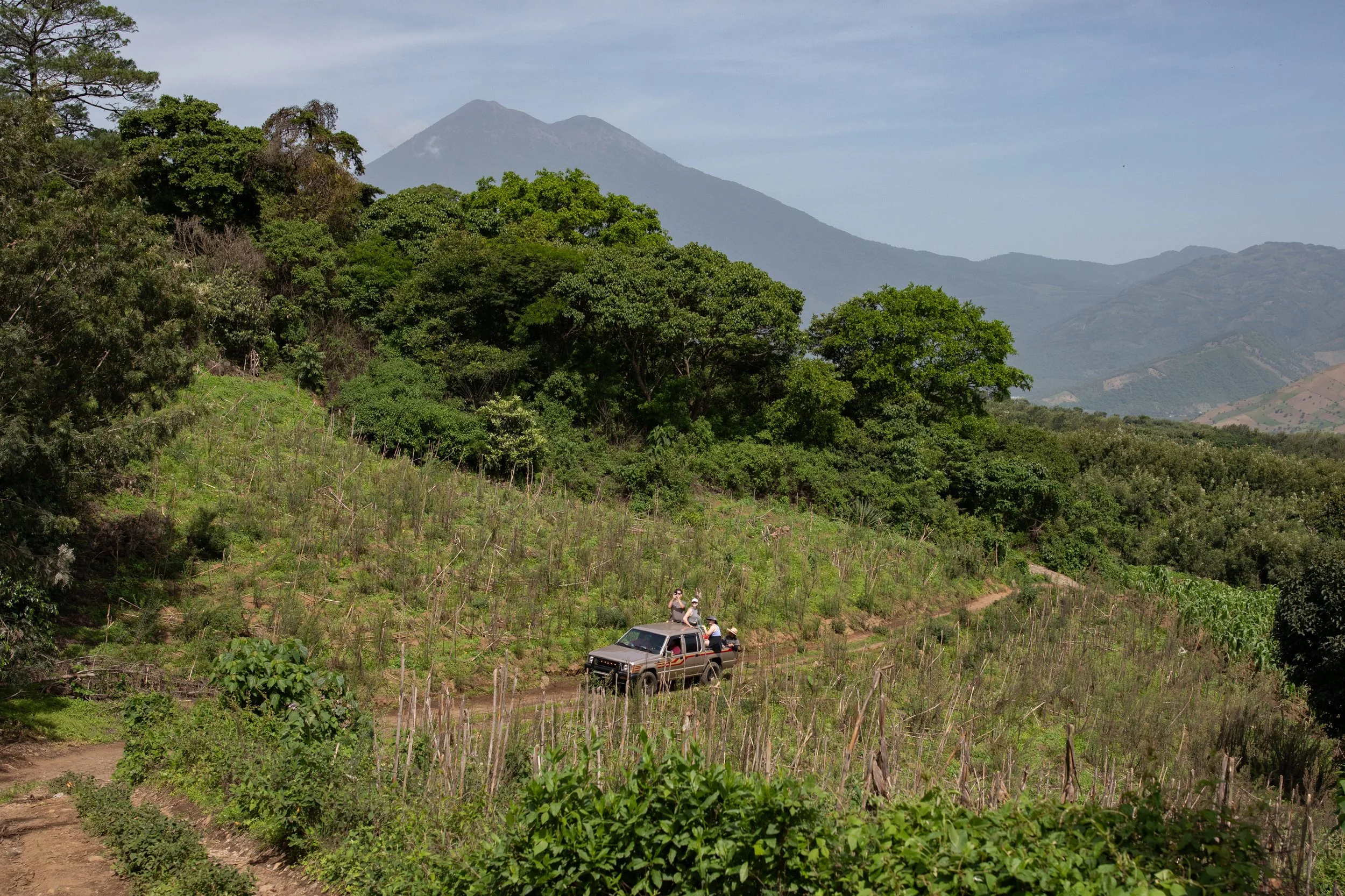 A scenic view of lush green trees and rolling hills with mountains in the background under a cloudy sky. There are people near a pickup truck on a dirt path in the foreground.