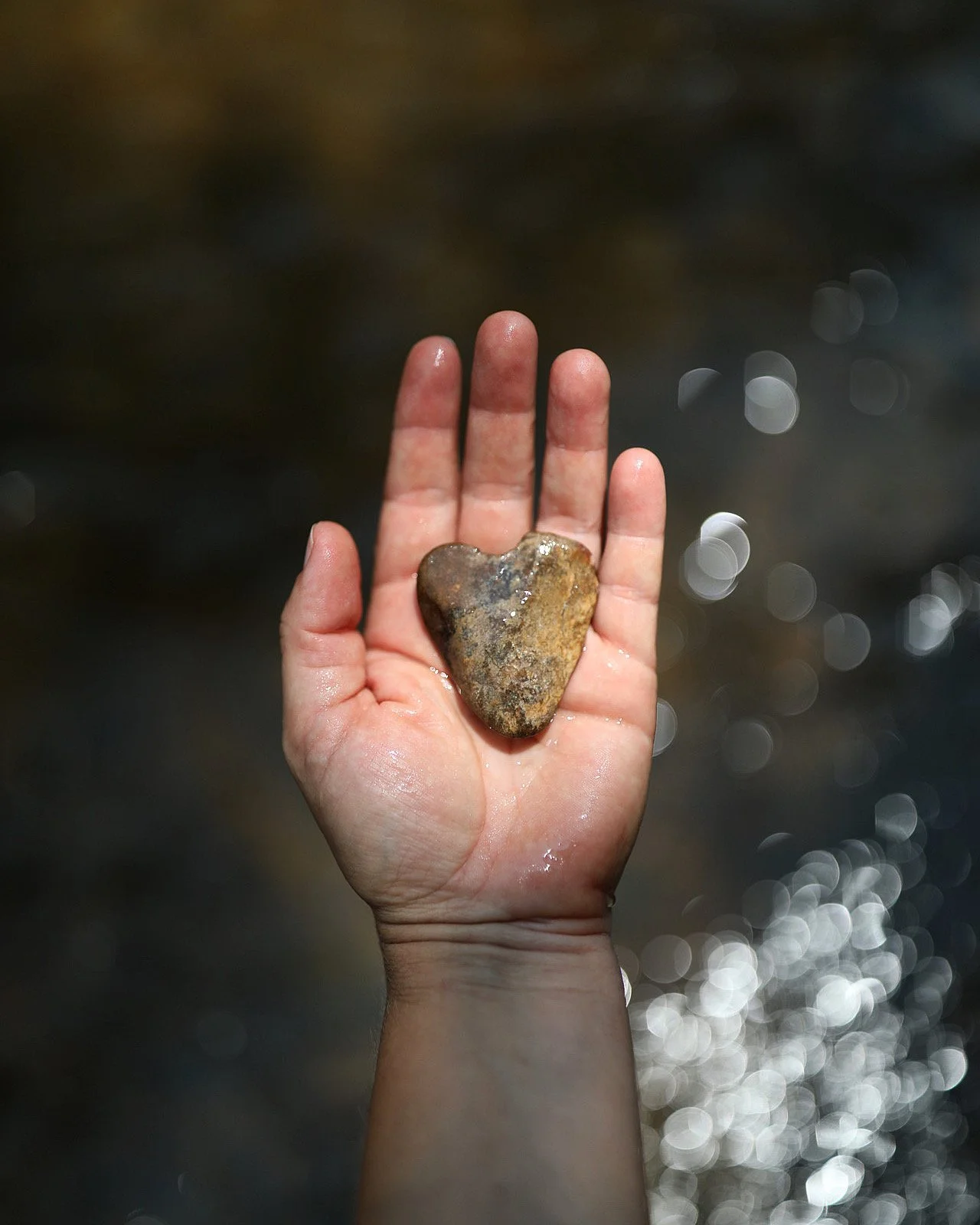 A person's hand holding a heart-shaped rock in front of a blurred background with water and bokeh lights.