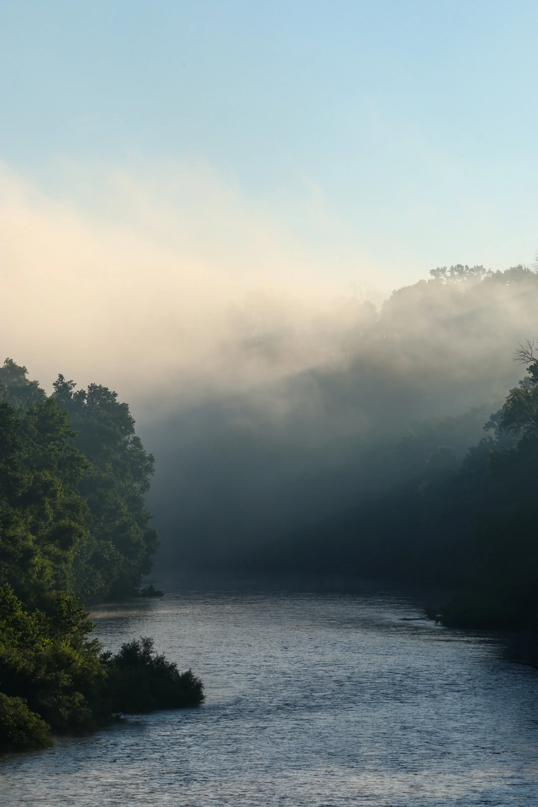 A river flowing through a dense green forest with mist and fog, under a pale blue sky.