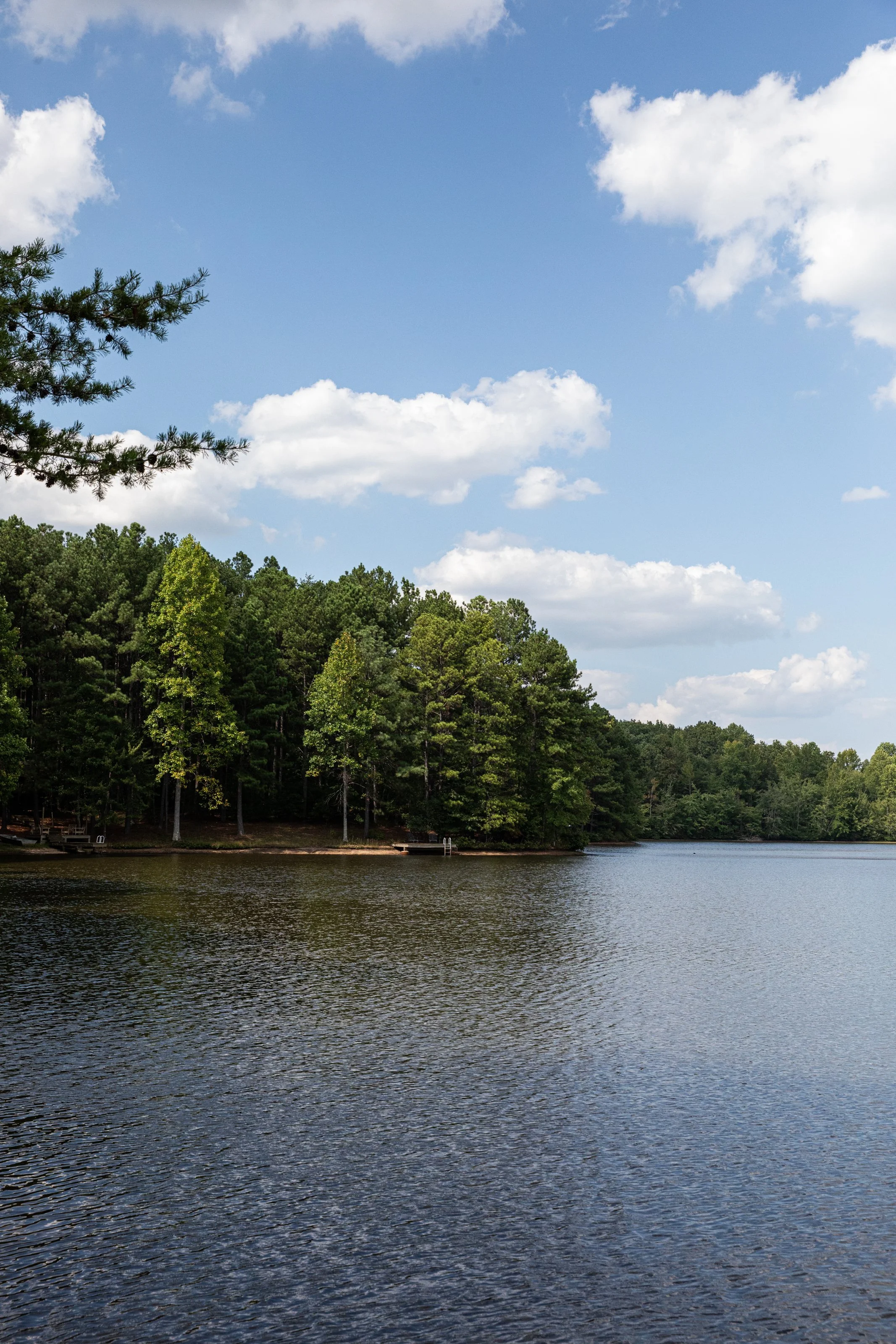 A lake with calm water in the foreground, a forested shoreline with green trees in the middle ground, and a blue sky with scattered white clouds in the background.