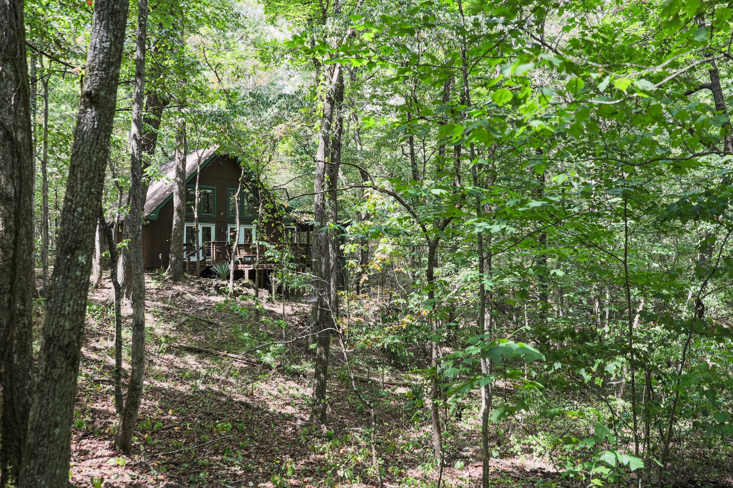 A small cabin with a deck is hidden among dense green trees in a forest.