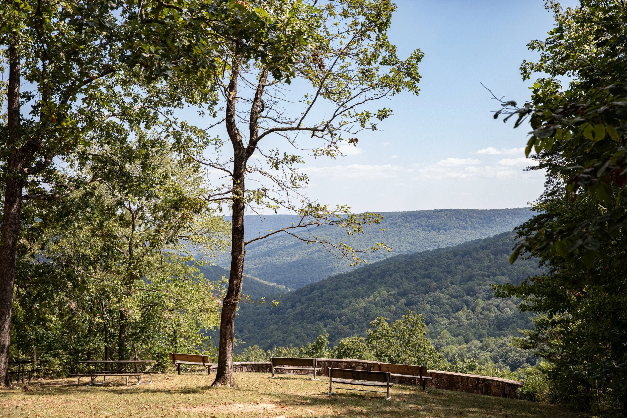 Park with benches under trees overlooking distant mountains and a blue sky.