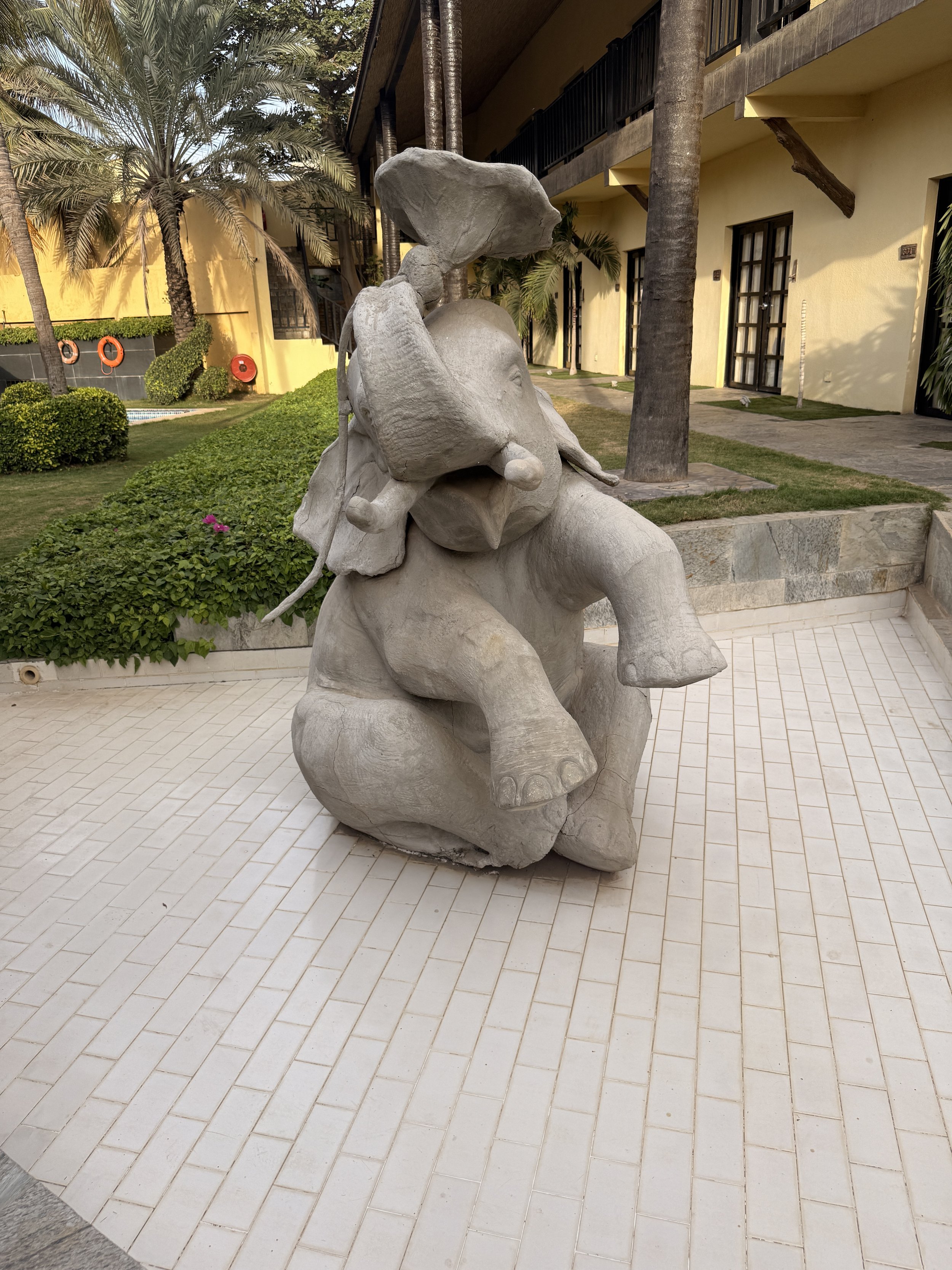 IMG_4018.jpeg