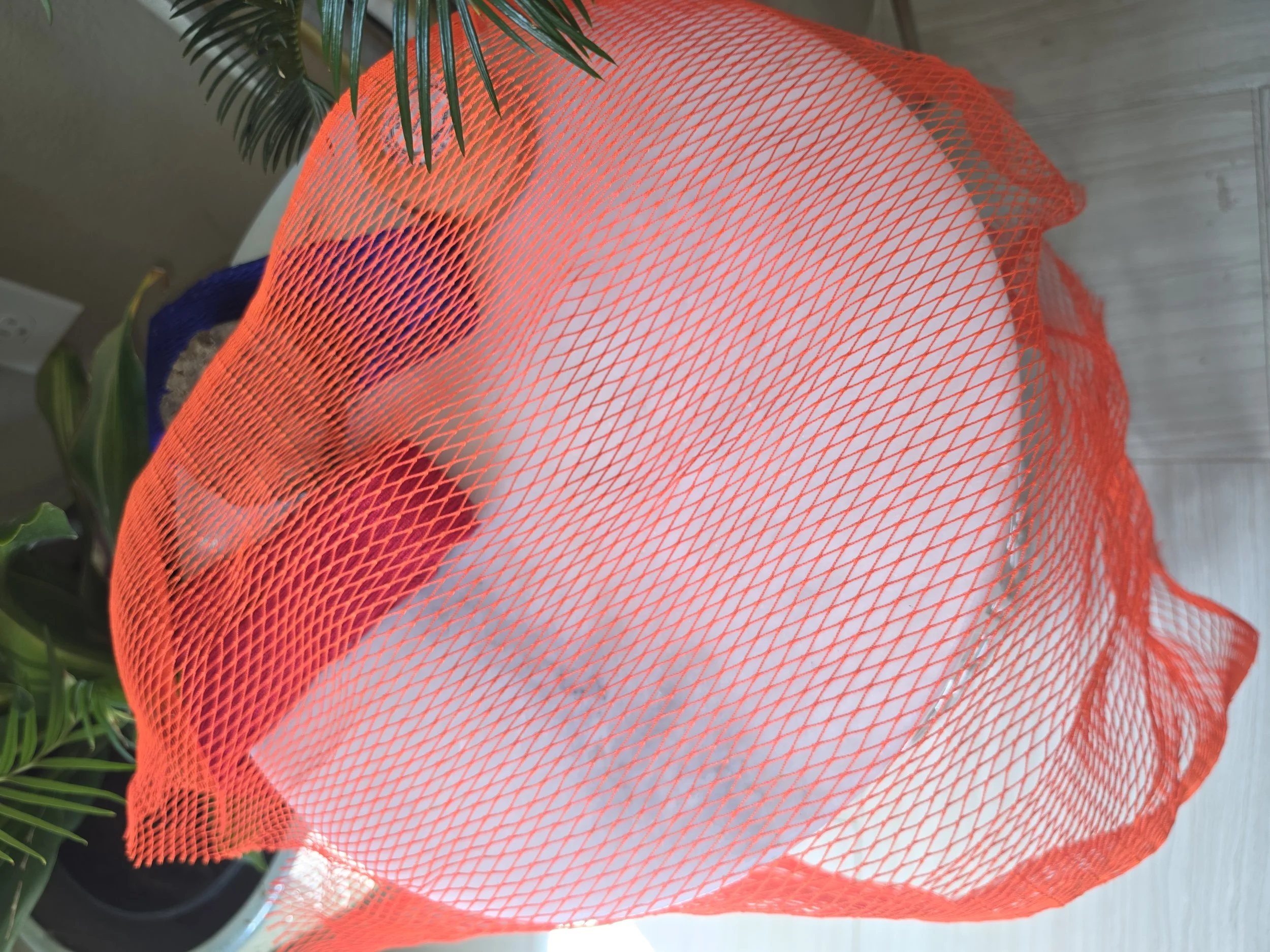 20260914_121302.jpg