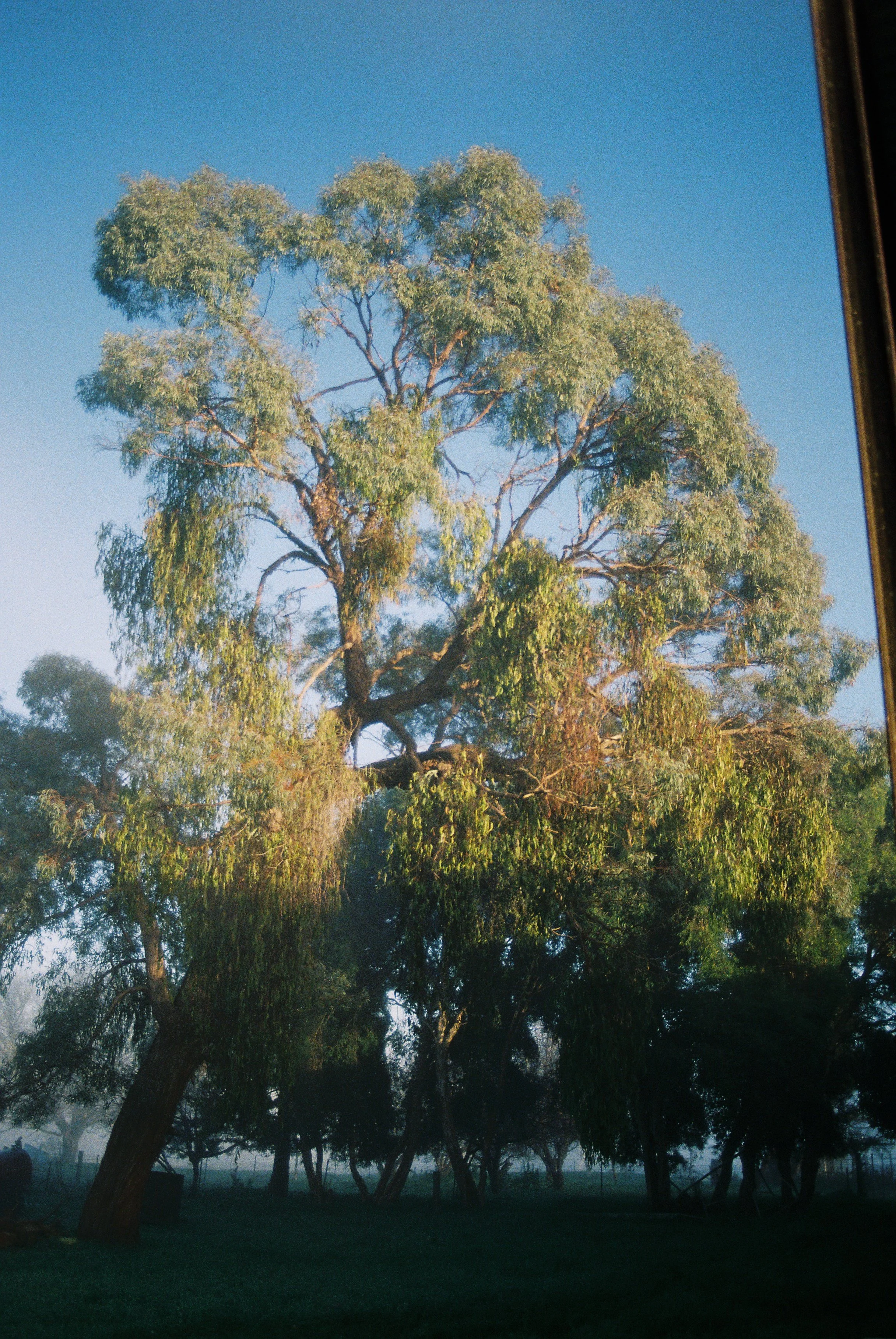 R1-02208-032A.JPG