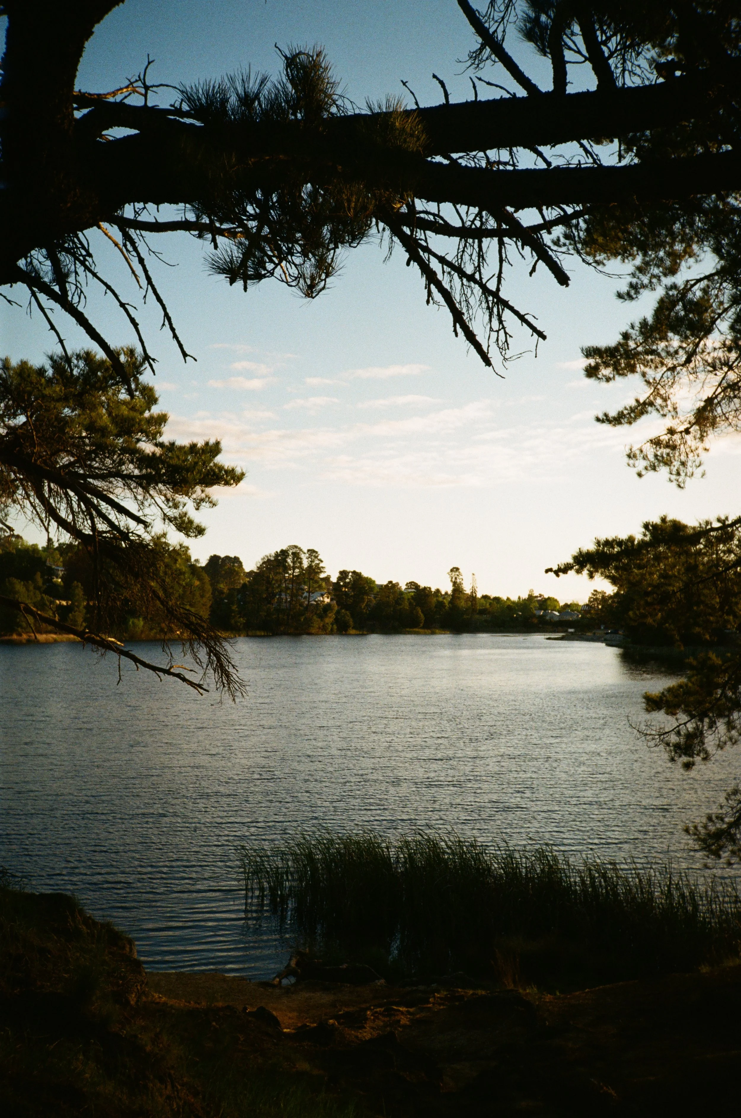 Lake Sambell Beechworth