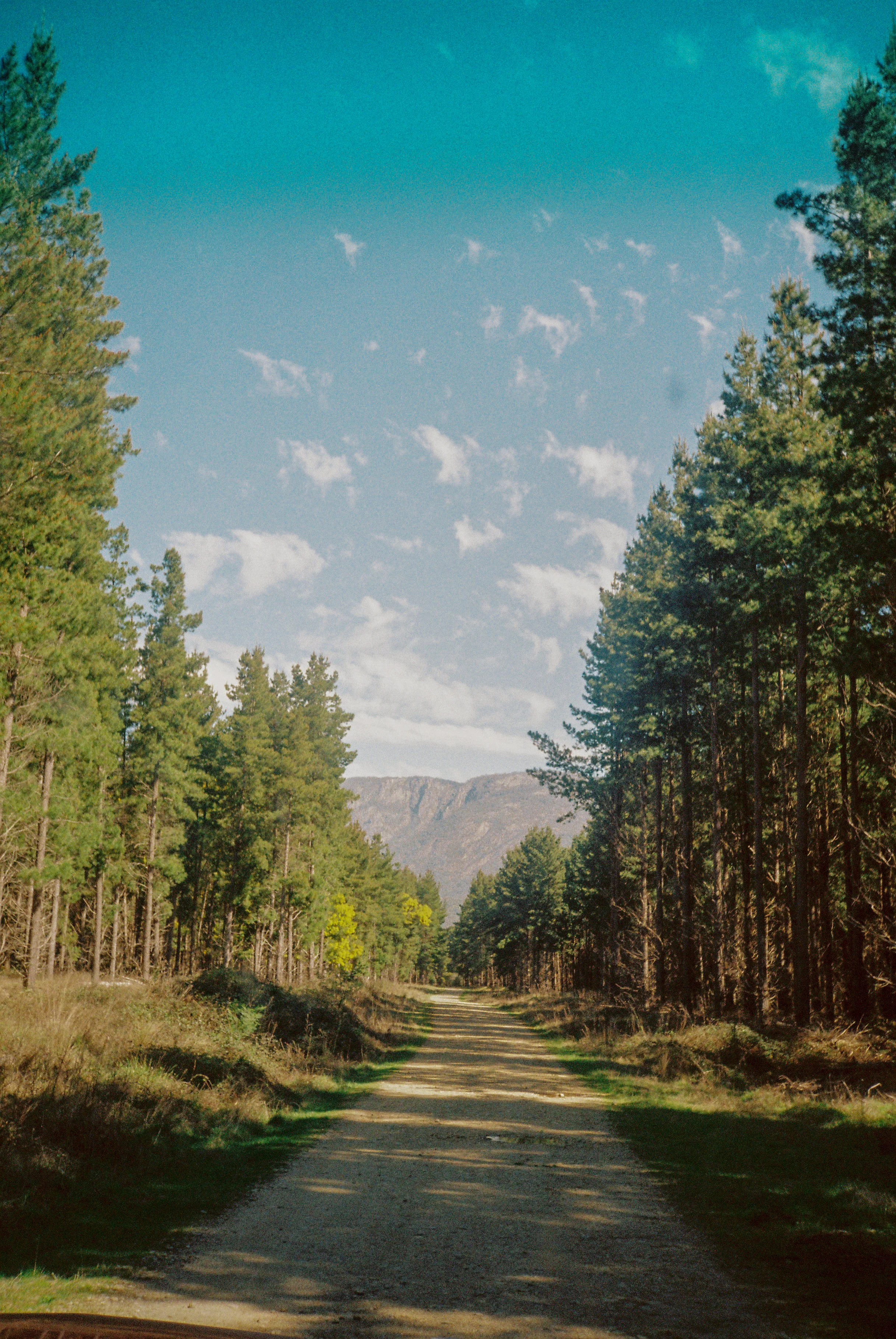 R1-08249-020A.jpeg