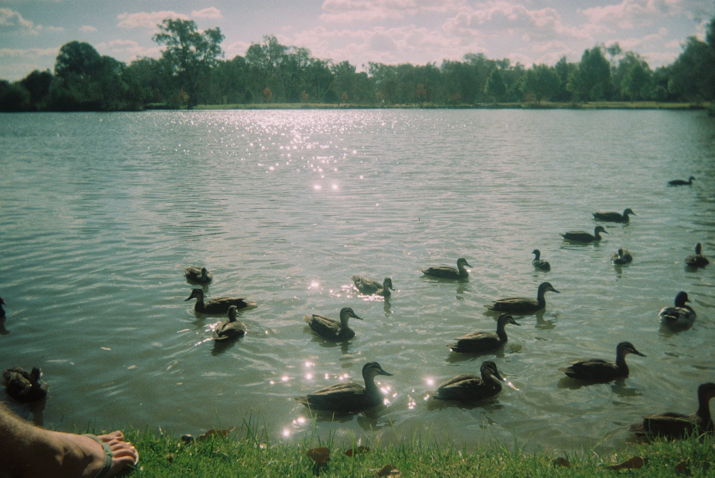 R1-02210-022A.JPG