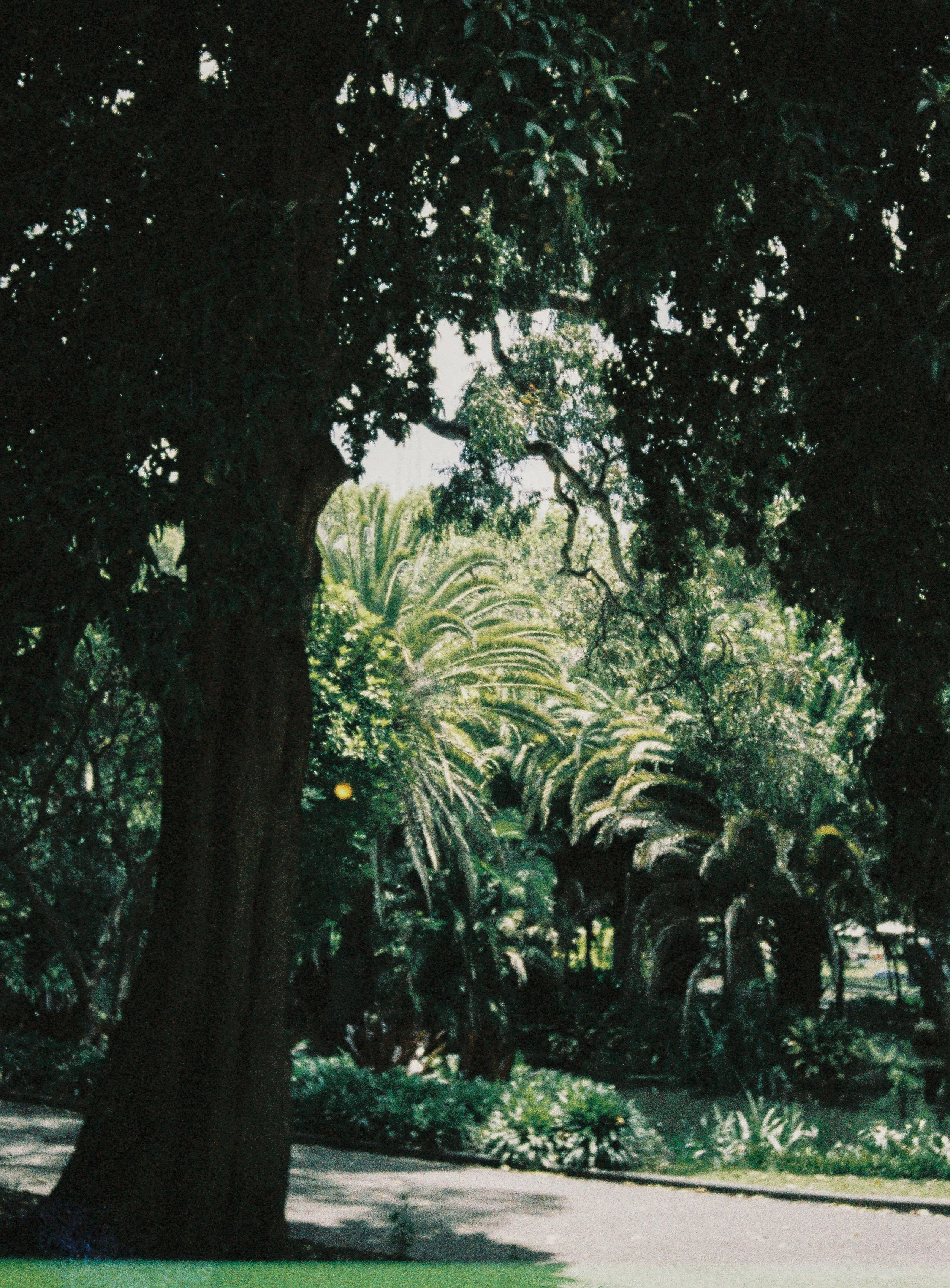 R1-09037-0010.jpg