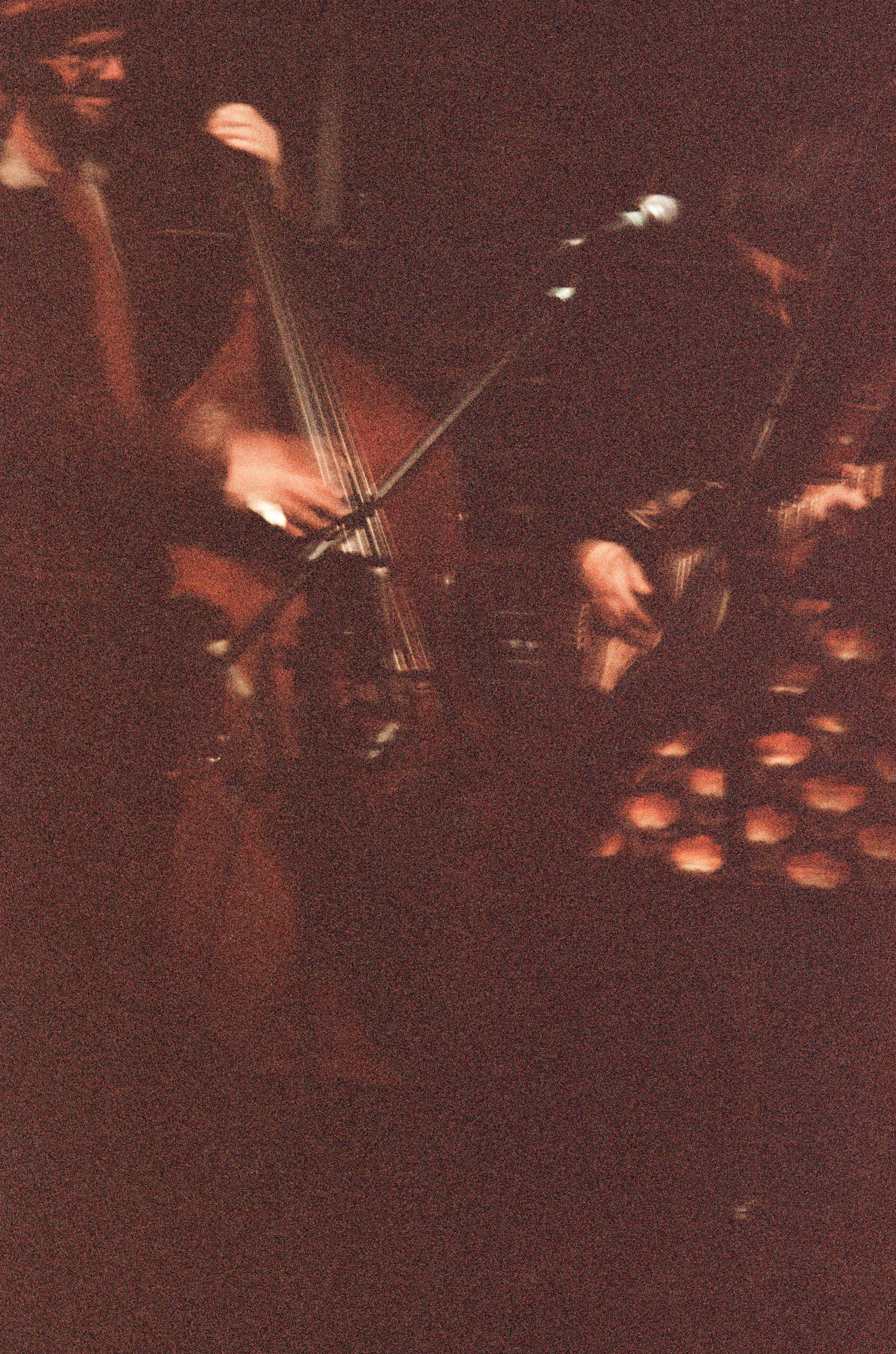 F&D_GIG-07.jpeg