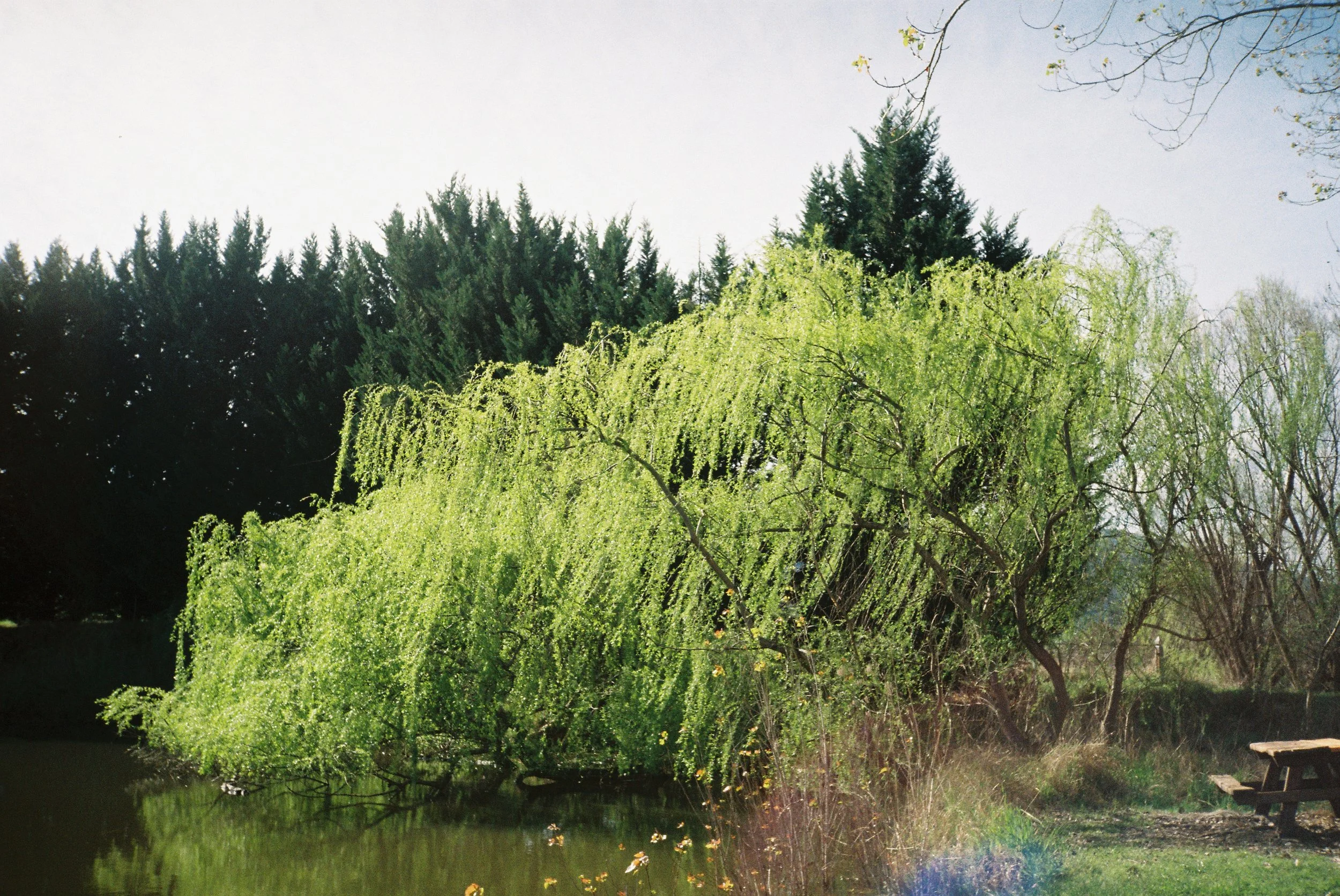 R1-08249-002A.JPG