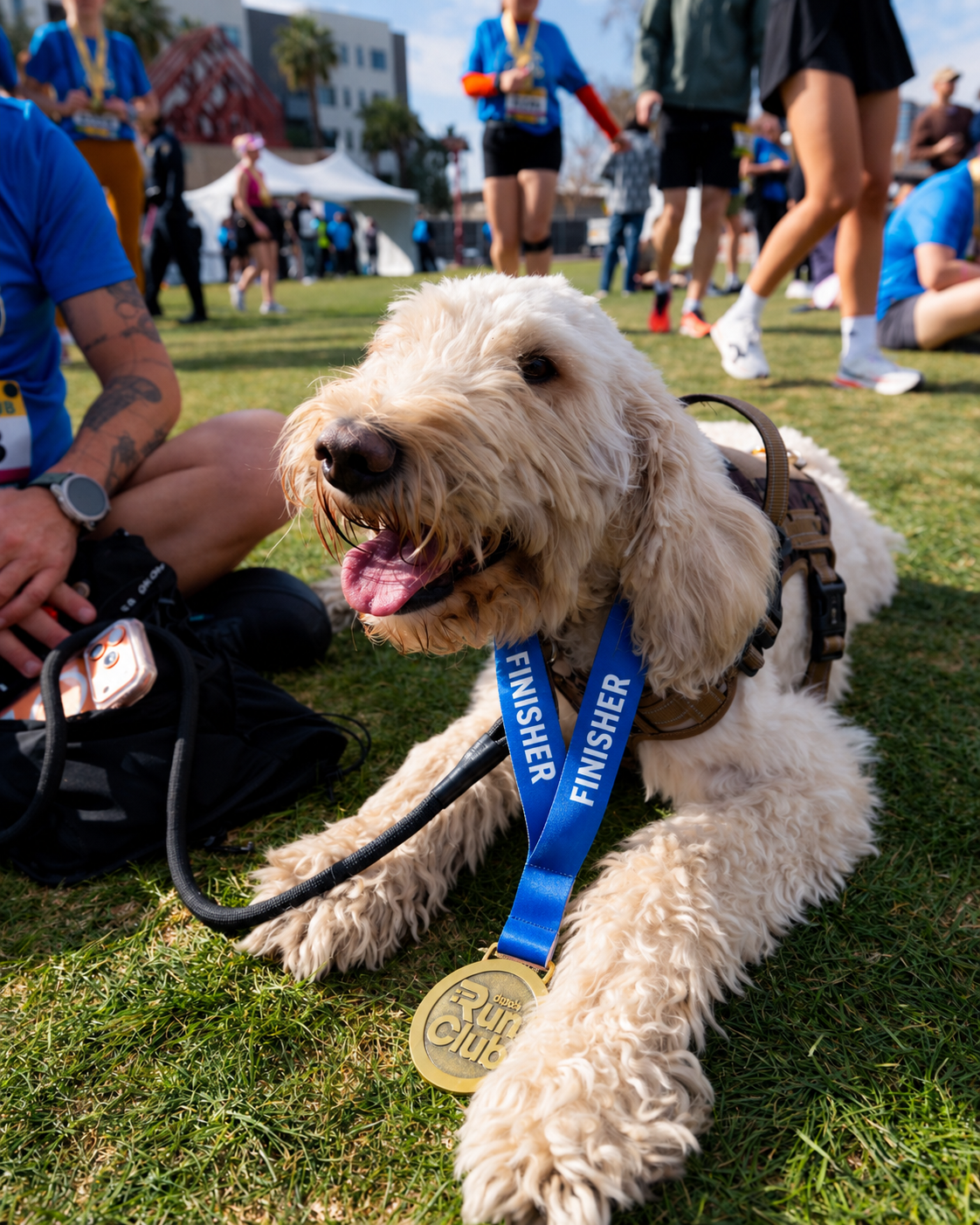 A golden retriever dog lying on grass with a 'Finisher' medal around its neck, surrounded by people at a race event.