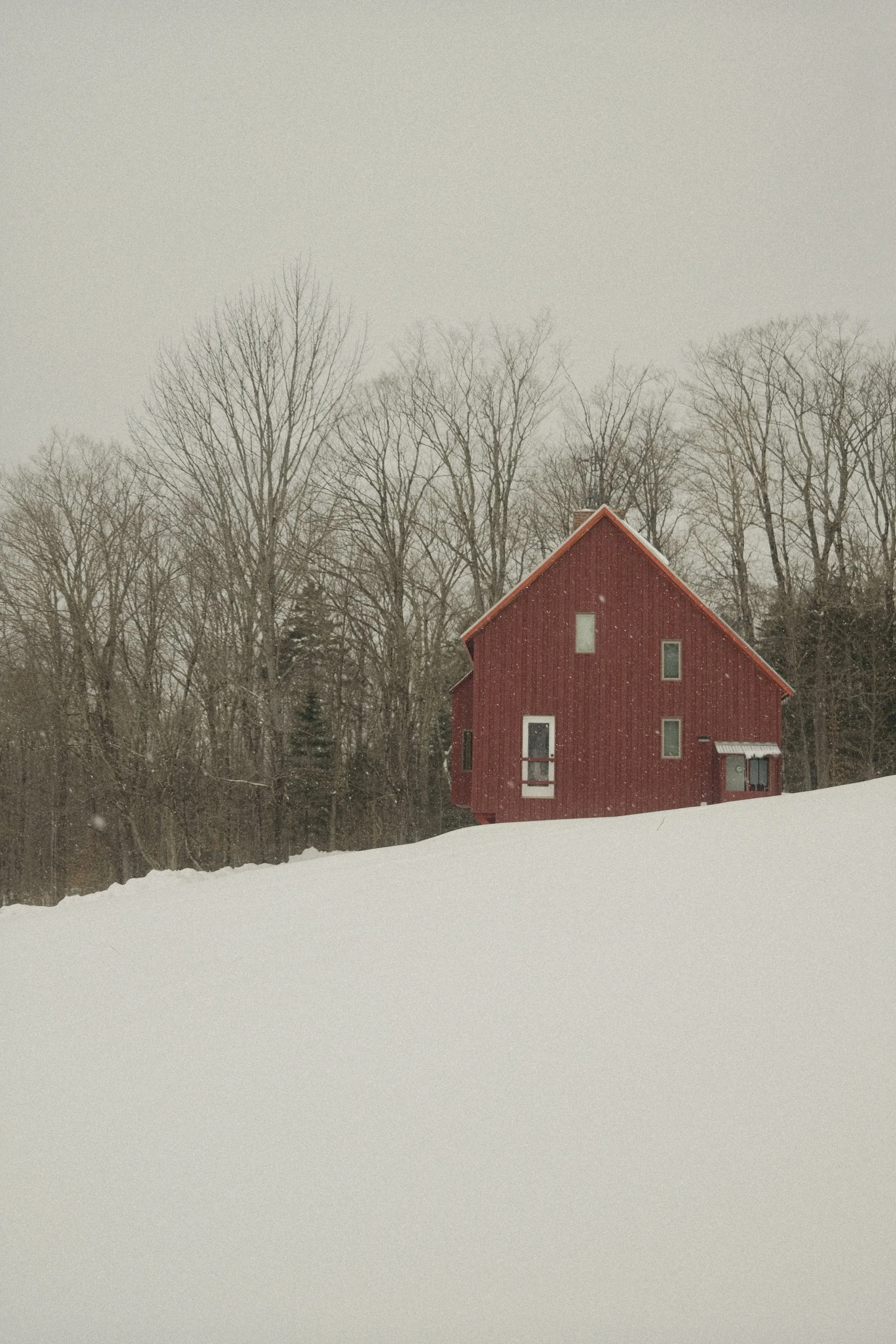 steph-toto-DSCF5663.jpg