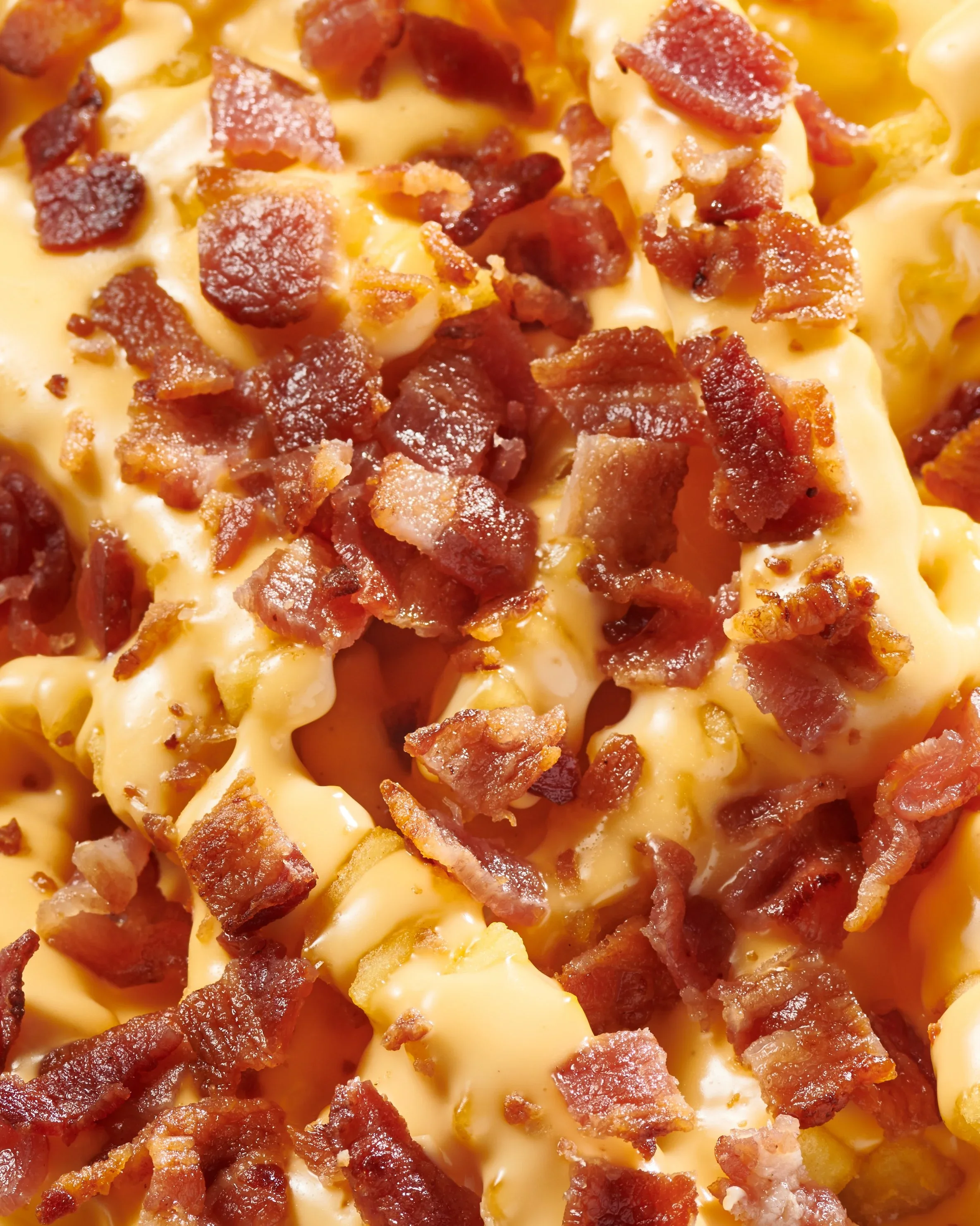 SS-BaconCheeseFries-4x5-V2.webp