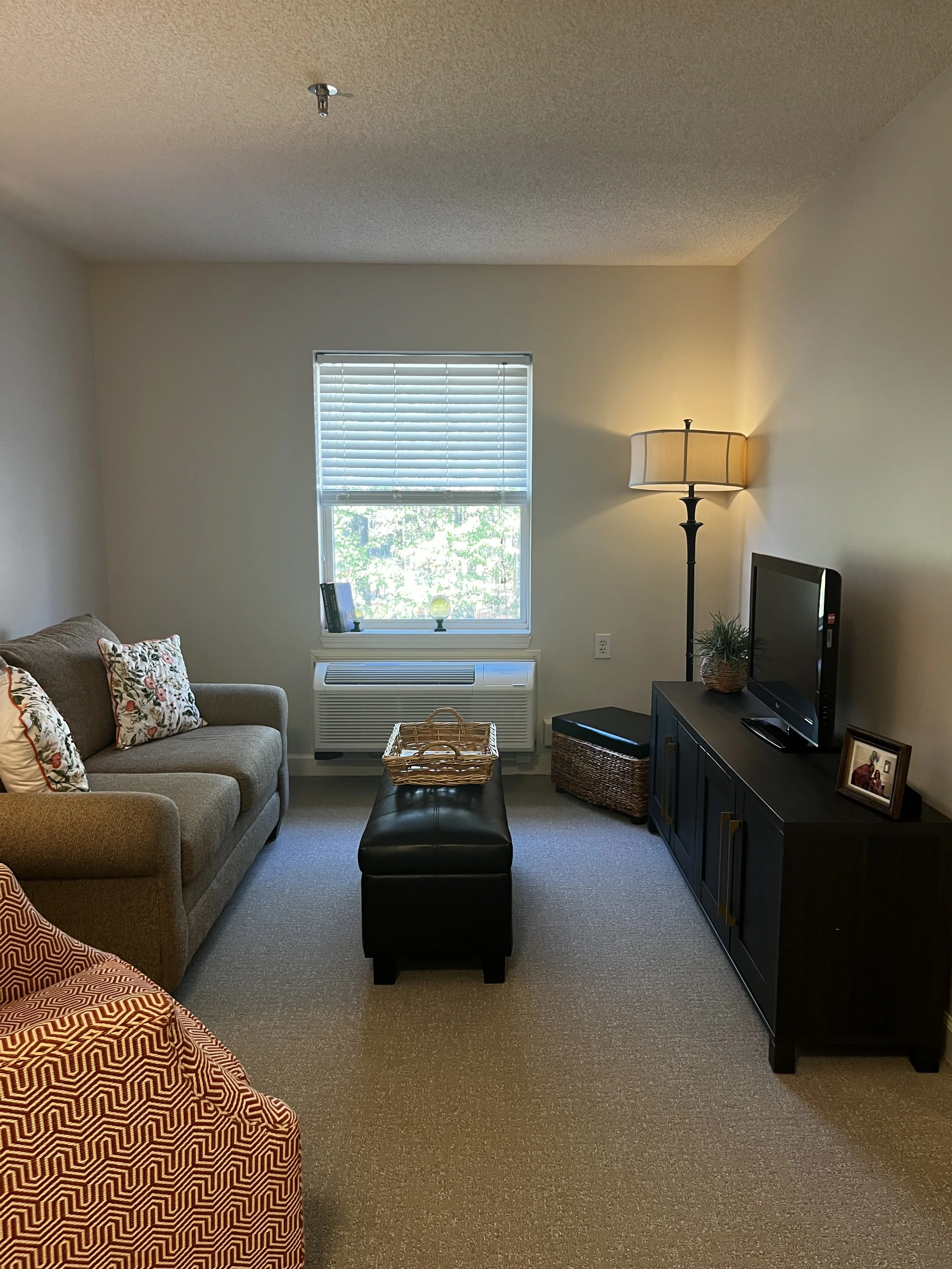 Living room with beige carpet, beige walls, a window with white blinds, a beige sofa with patterned pillows, a black ottoman with a basket on top, a black cabinet with a TV, a small framed photo, a potted plant, and a tall floor lamp with a beige shade.
