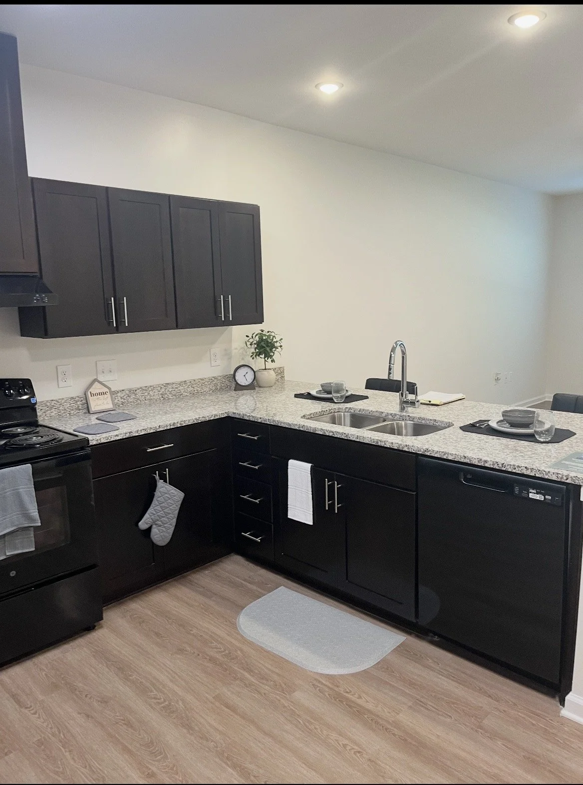 Modern kitchen with black cabinets, granite countertops, stainless steel sink, and wooden flooring. The kitchen has a stove, microwave, and dishwasher, with place settings on the counter and some decorative items like a plant and clock.