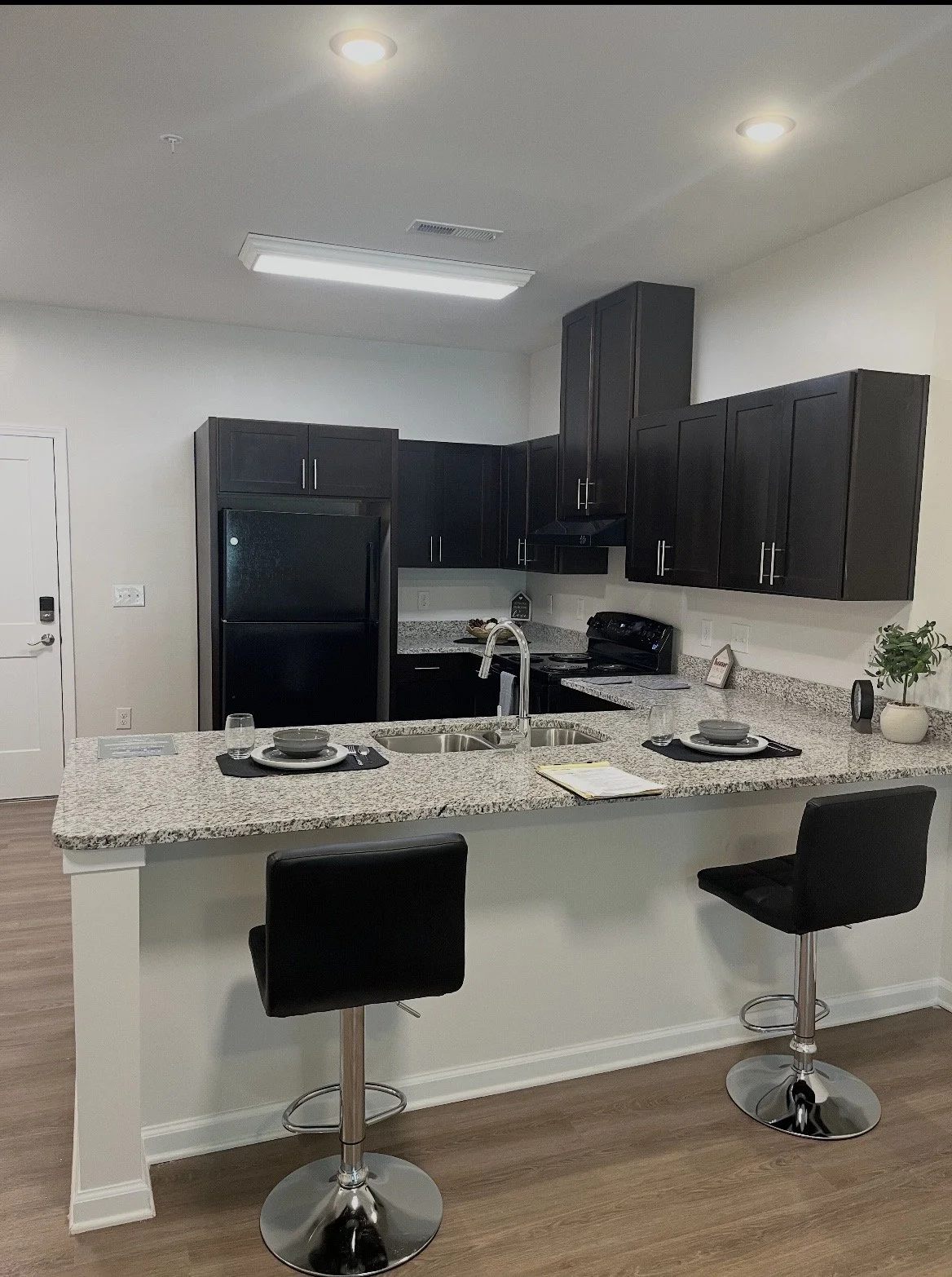 Modern kitchen with black cabinets, granite countertops, black appliances, a double sink, and a breakfast bar with two black barstools. There are dishes set on the bar, and a potted plant on the counter.