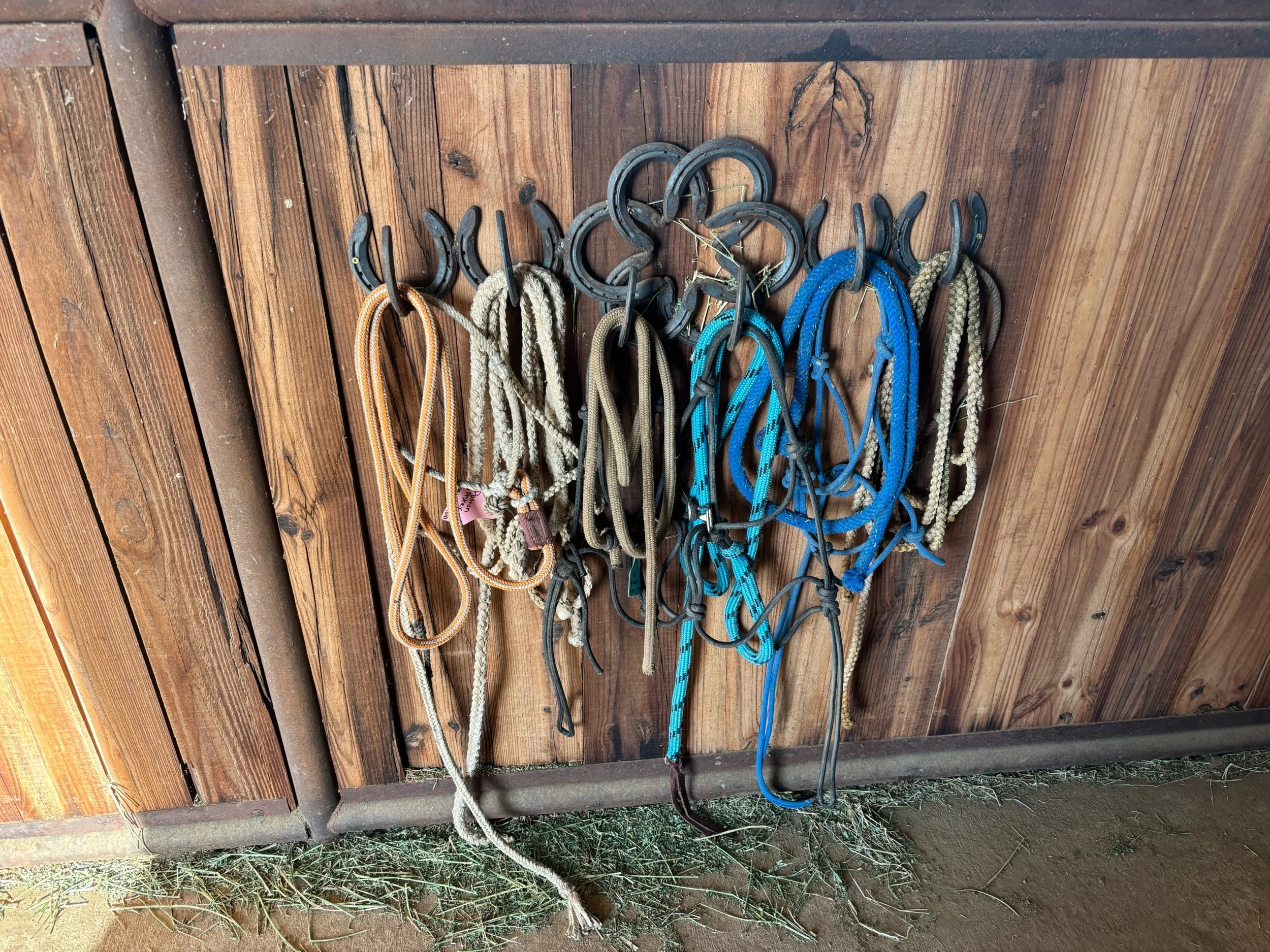 The Halter or Anything Rack