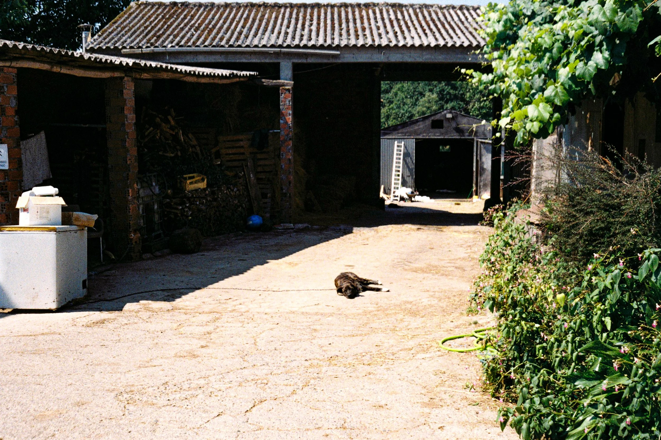 009201-011-VK.jpg