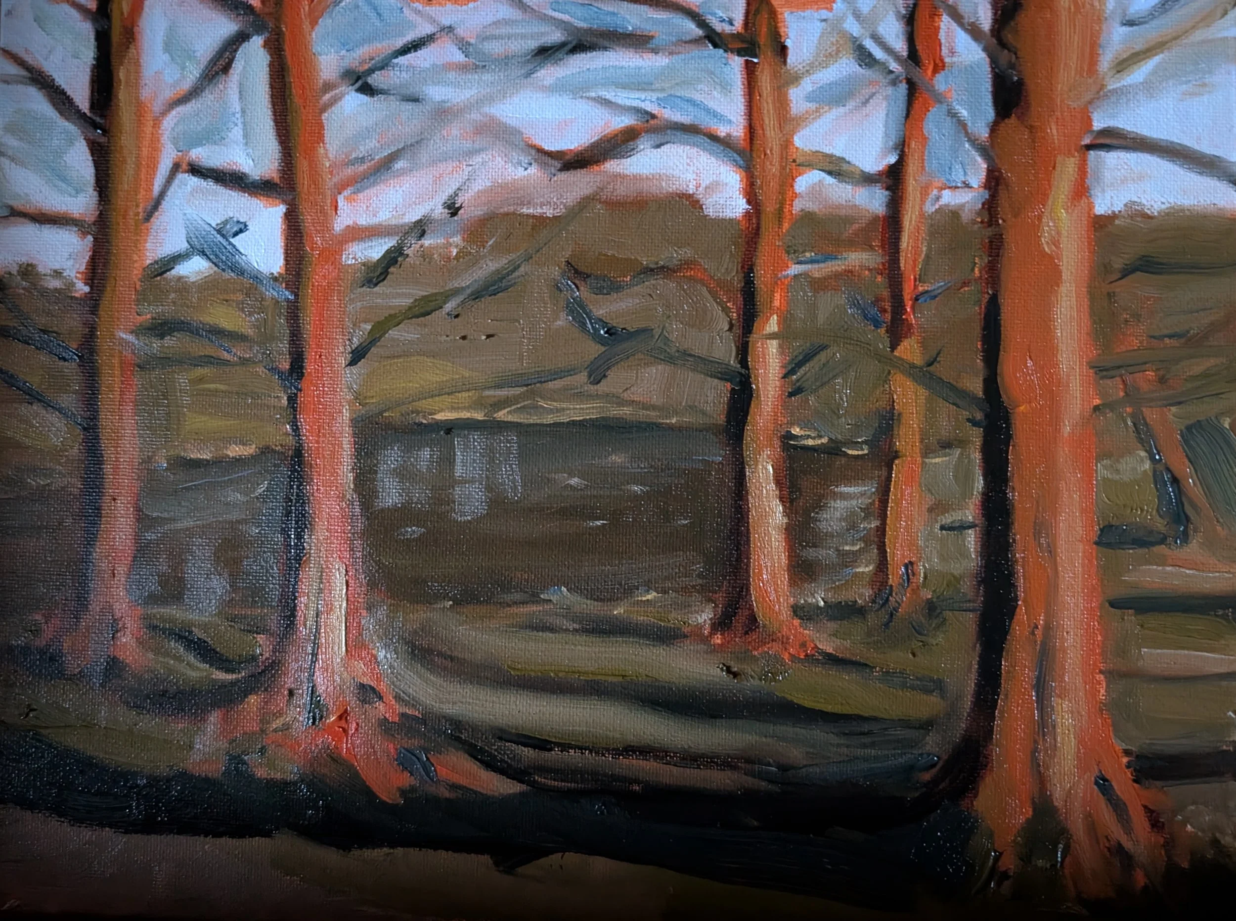 cypresses.jpg
