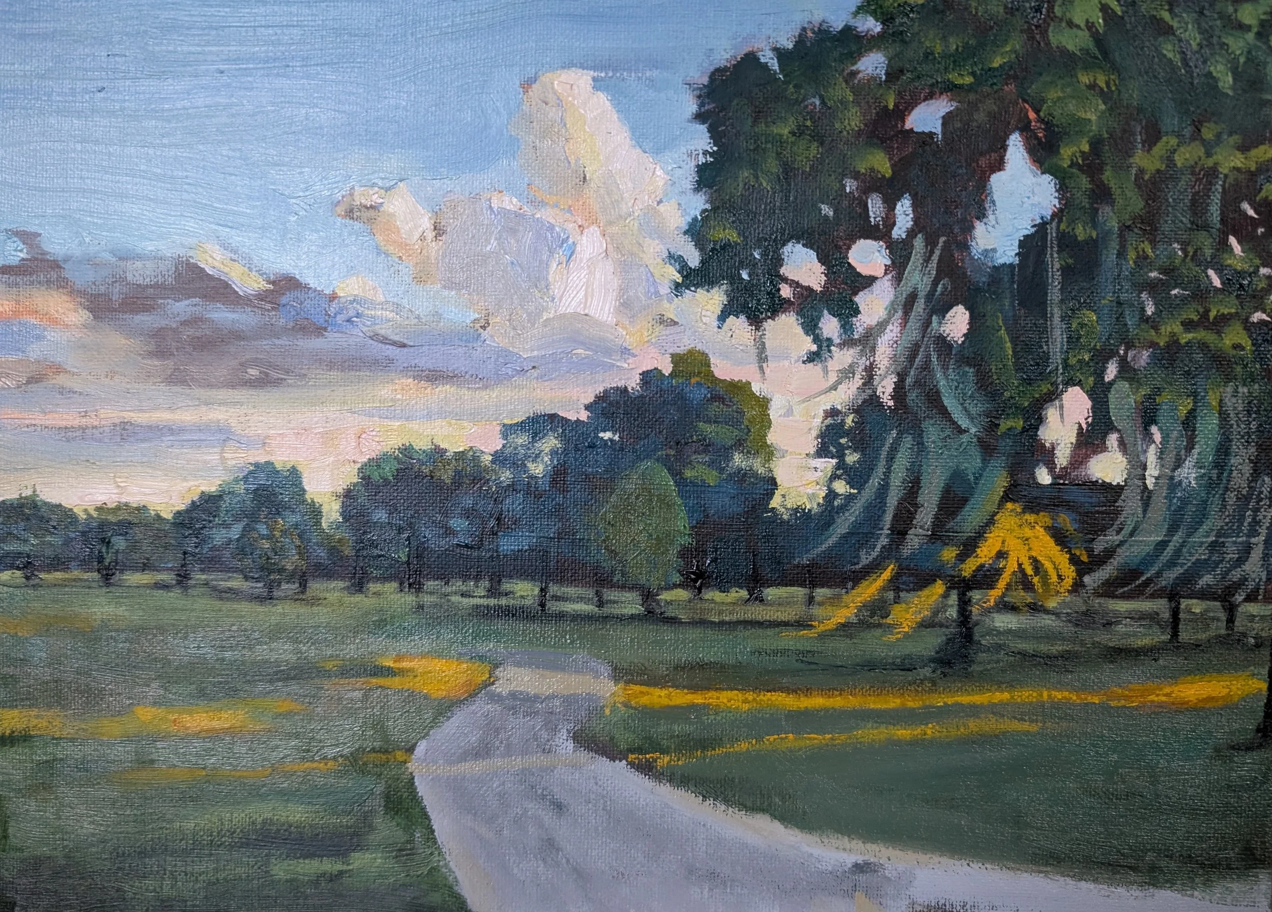 herman park.jpg