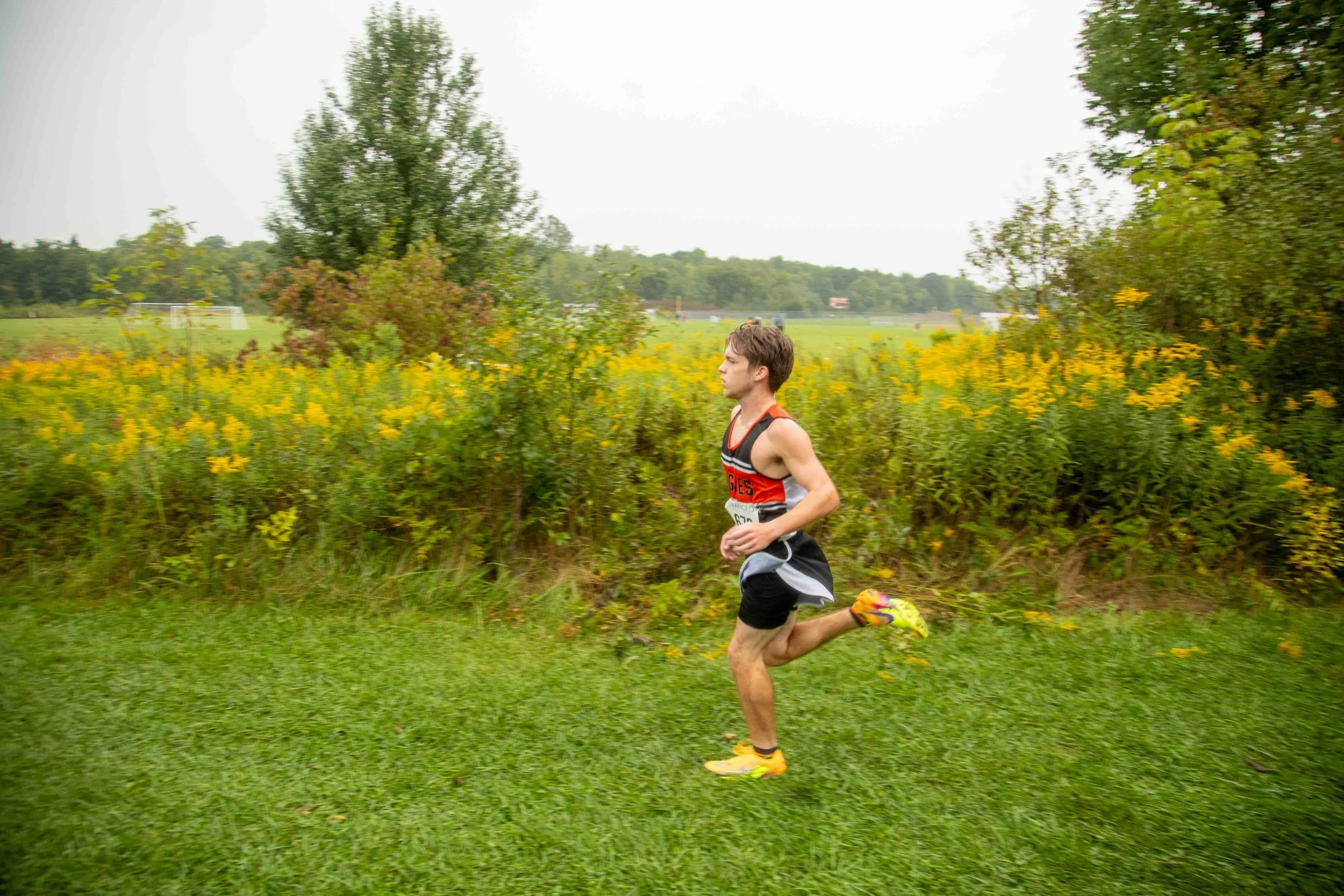 _MK41988.jpg