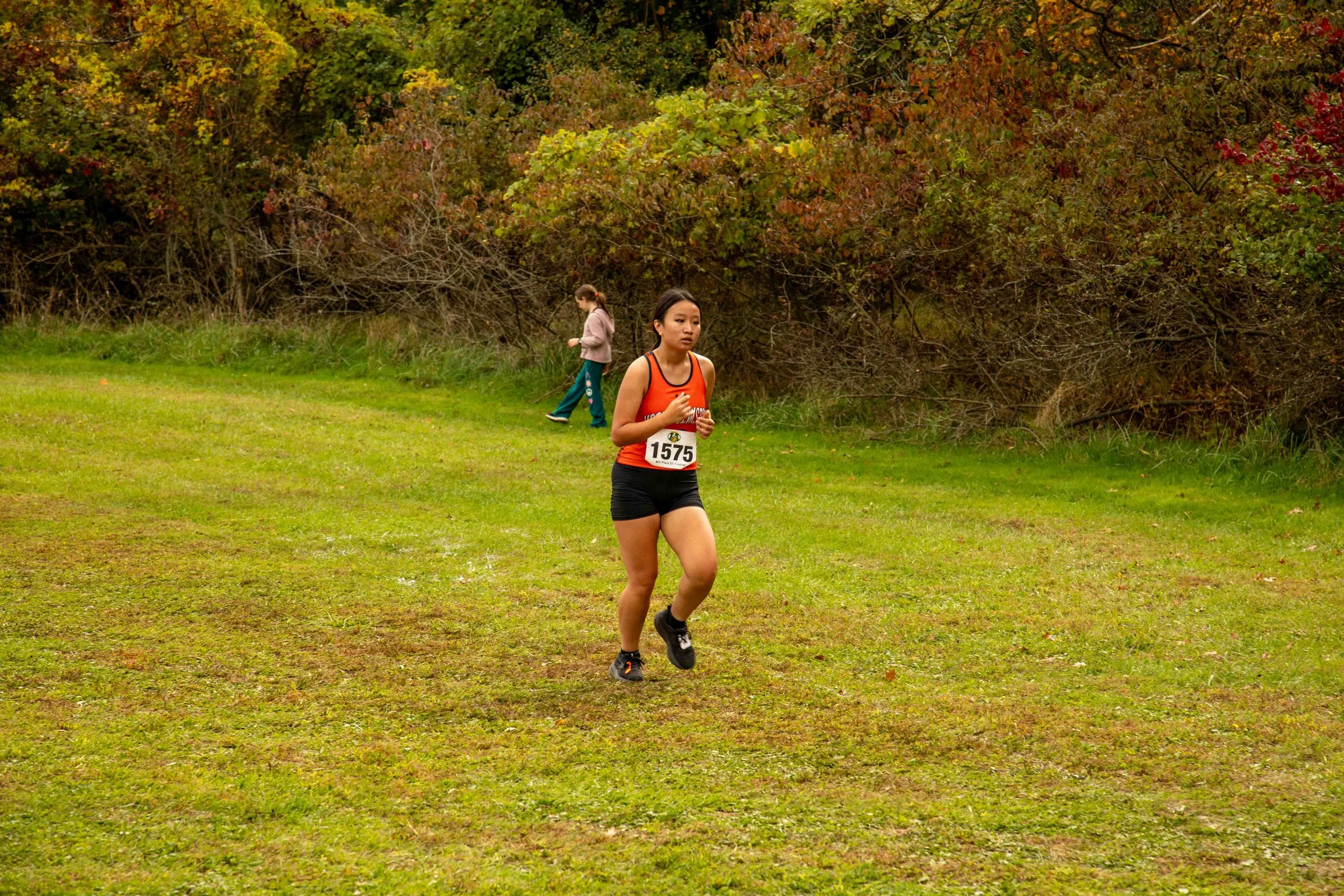 _MK44329.jpg
