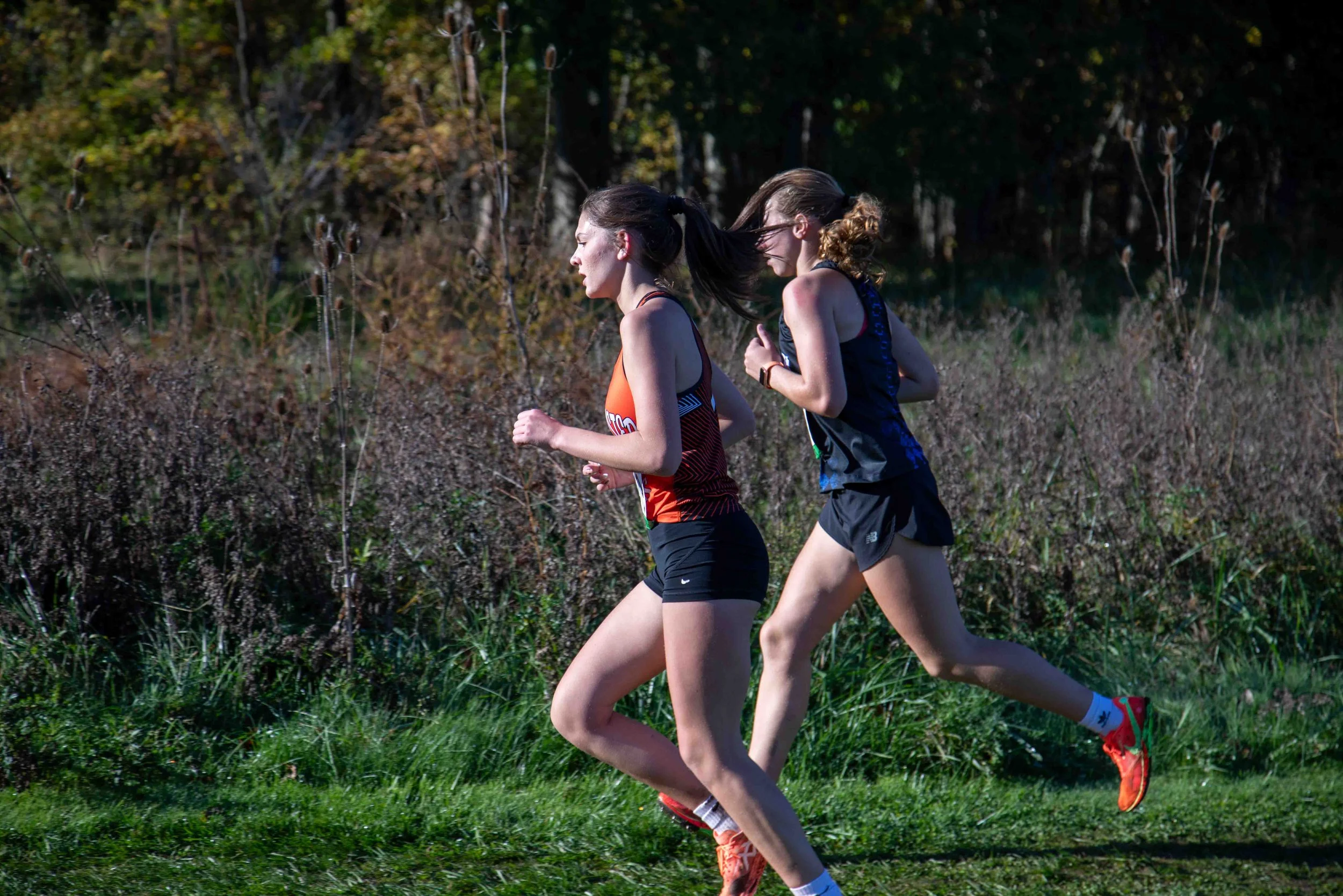 _MK45389.jpg
