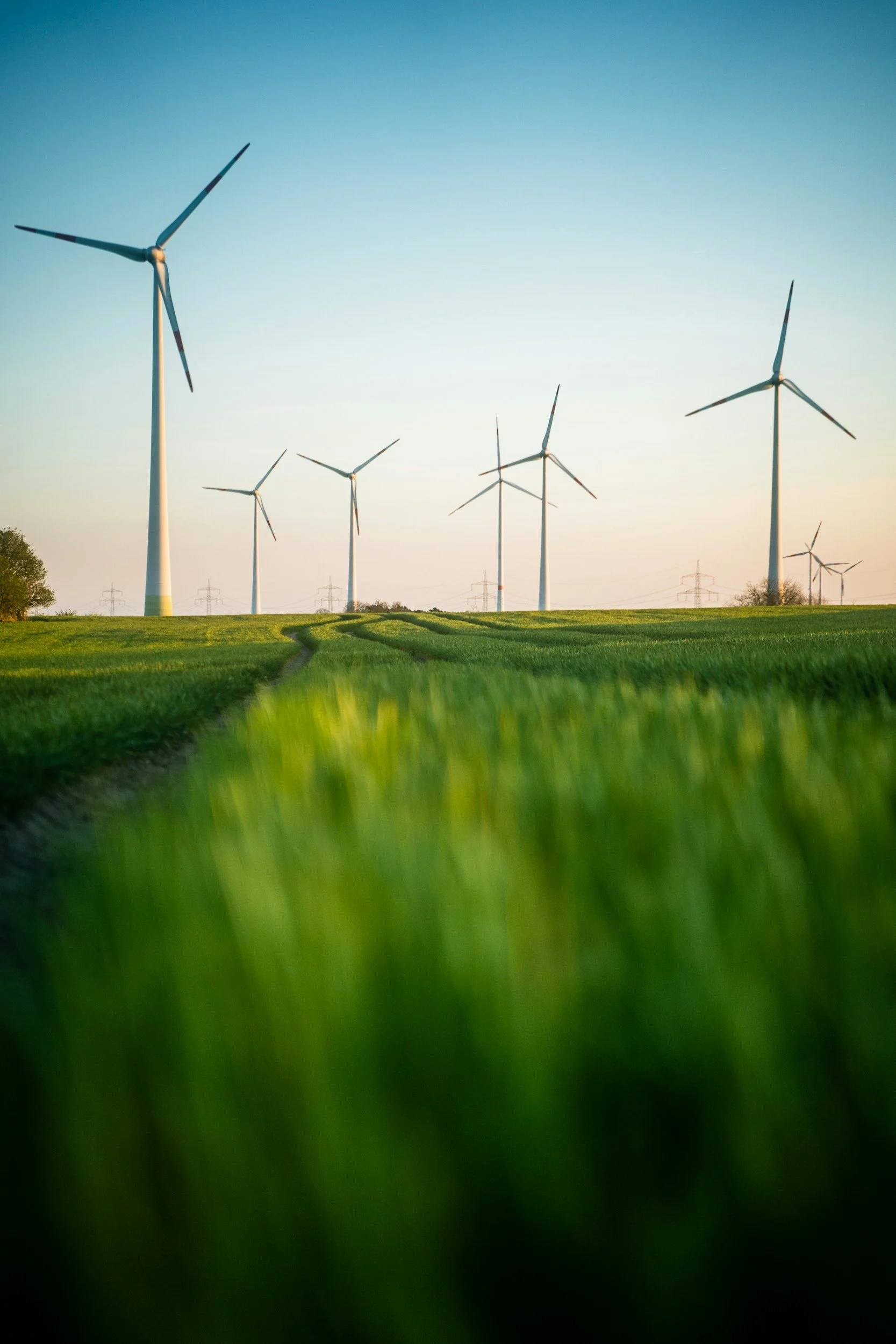 Wind turbines in a green field during sunset or sunrise.