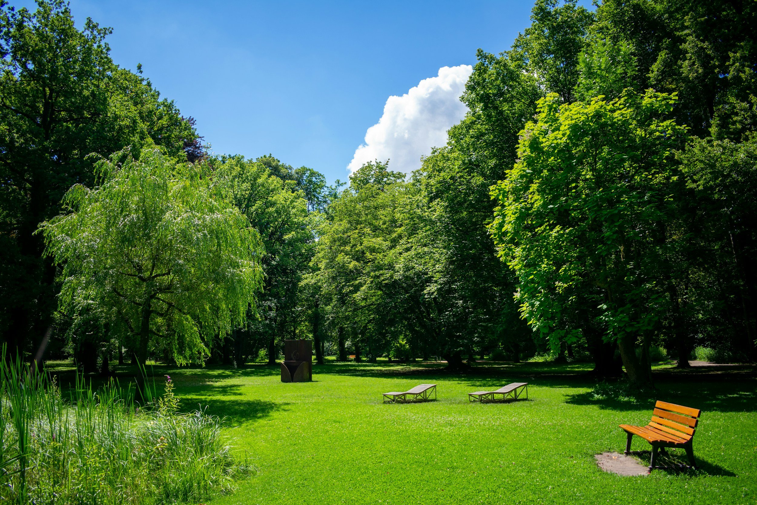 A lush green park with tall trees, a well-maintained grassy area, and a clear blue sky with some clouds. There are two benches and a wooden sculpture in the background.