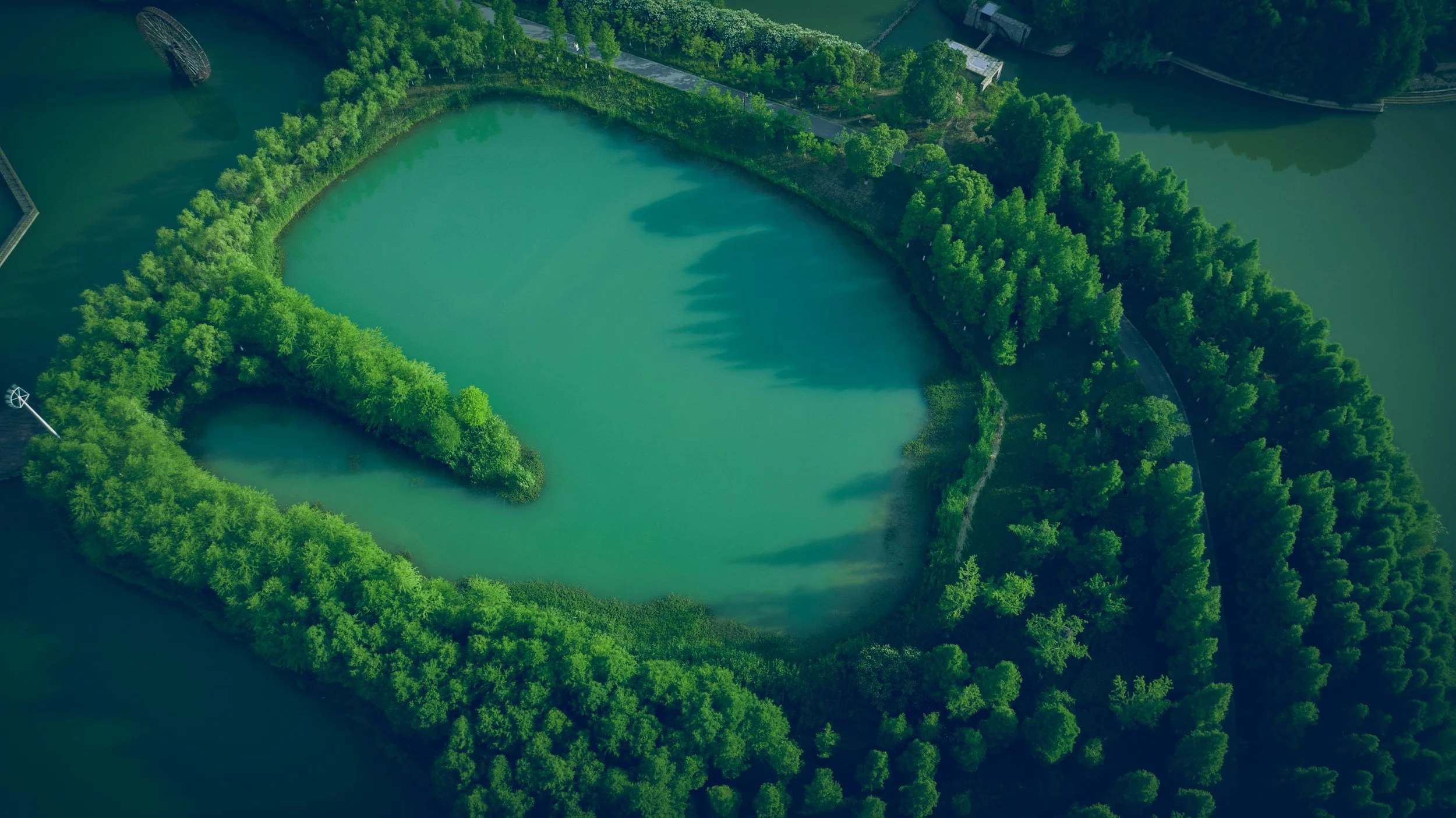 An aerial view of a body of water surrounded by dense green trees and a curved road.
