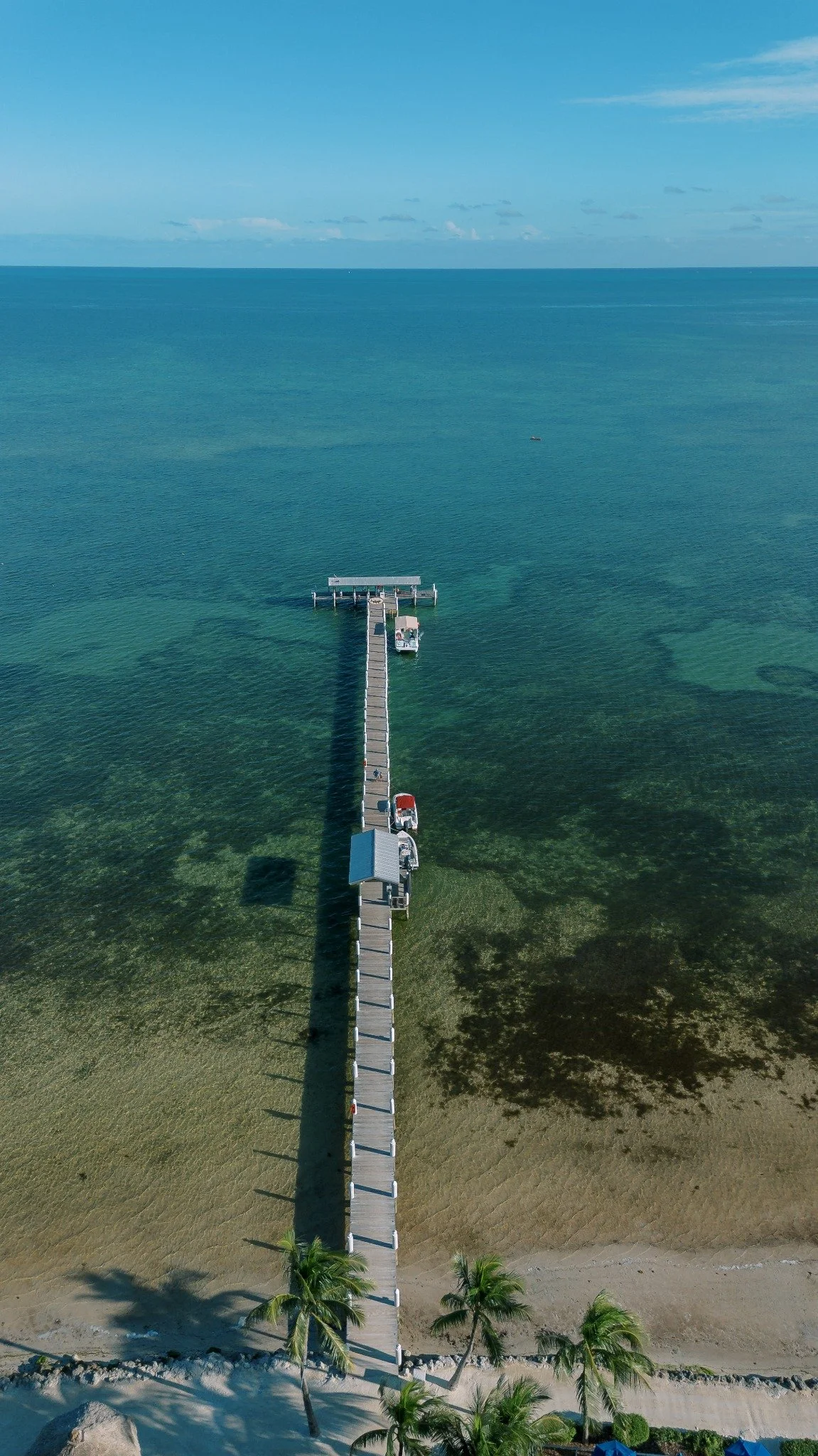 cheeca-lodge-islamorada-oceanfront-wedding-venue.jpg