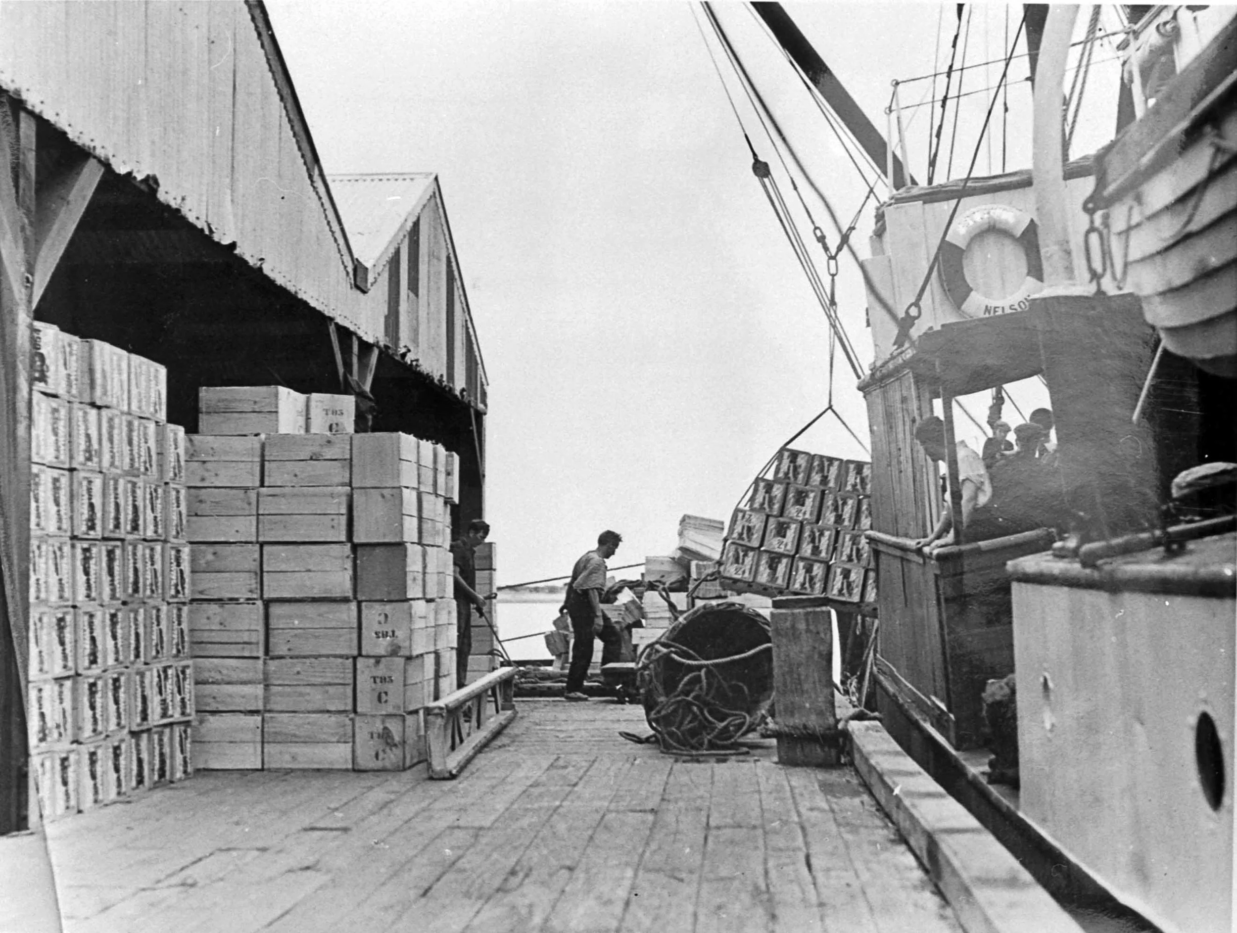 Historic photograph of loading apples on Mapua Wharf