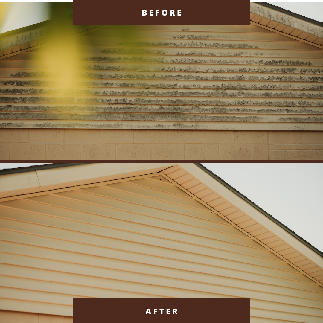 Comparison showing the before and after of house siding cleaning. The top image shows weathered, moldy gray siding; the bottom image shows cleaned, bright cream siding.