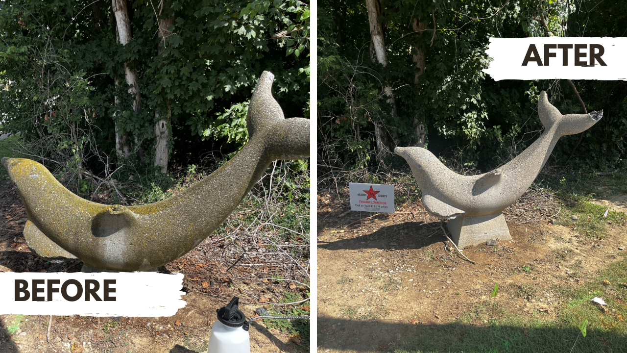 Before and after comparison of a concrete dolphin statue cleaning service. Inglewood park Evansville IN