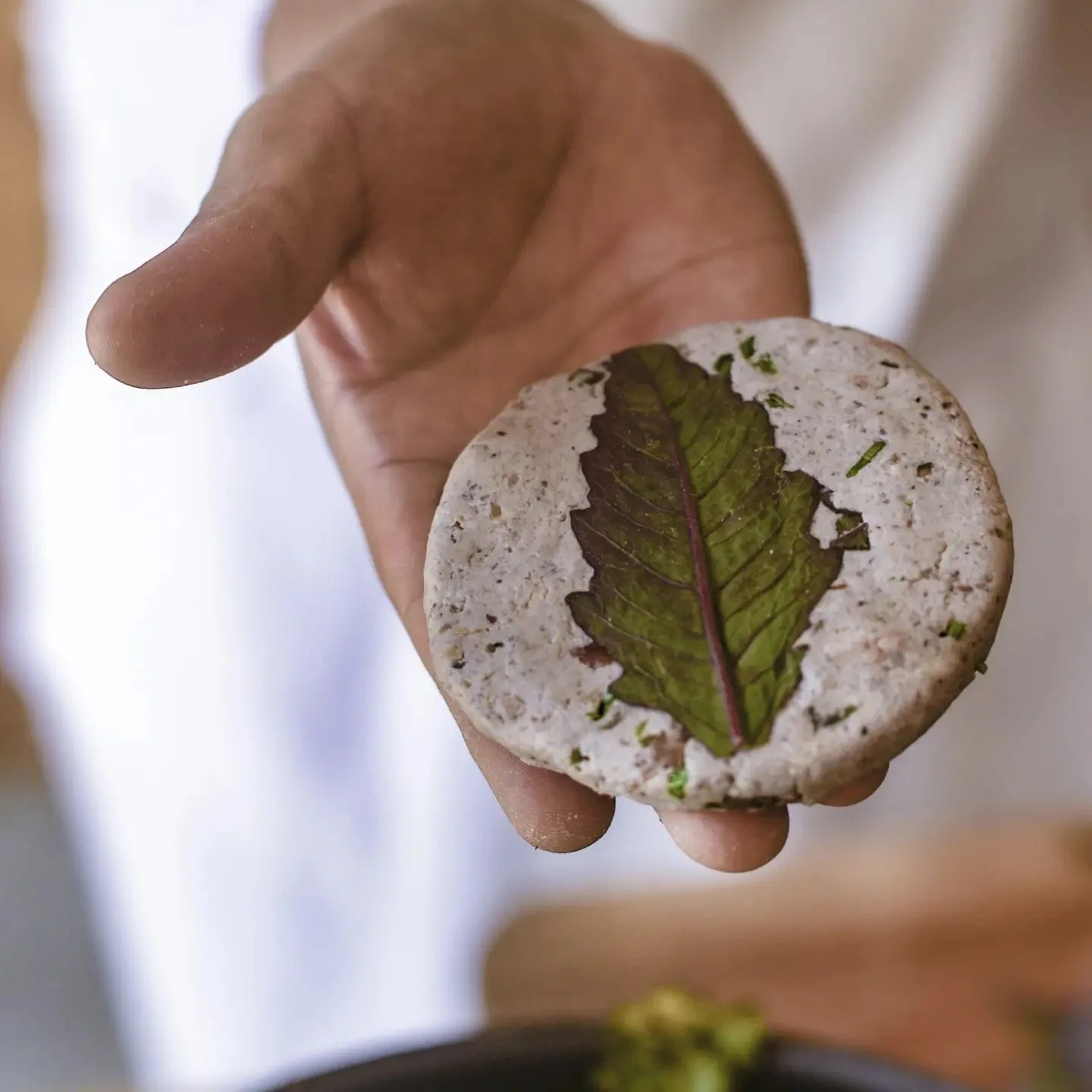 Territory and Creation: Advanced Workshop Mexico, an edible territory (3/3)