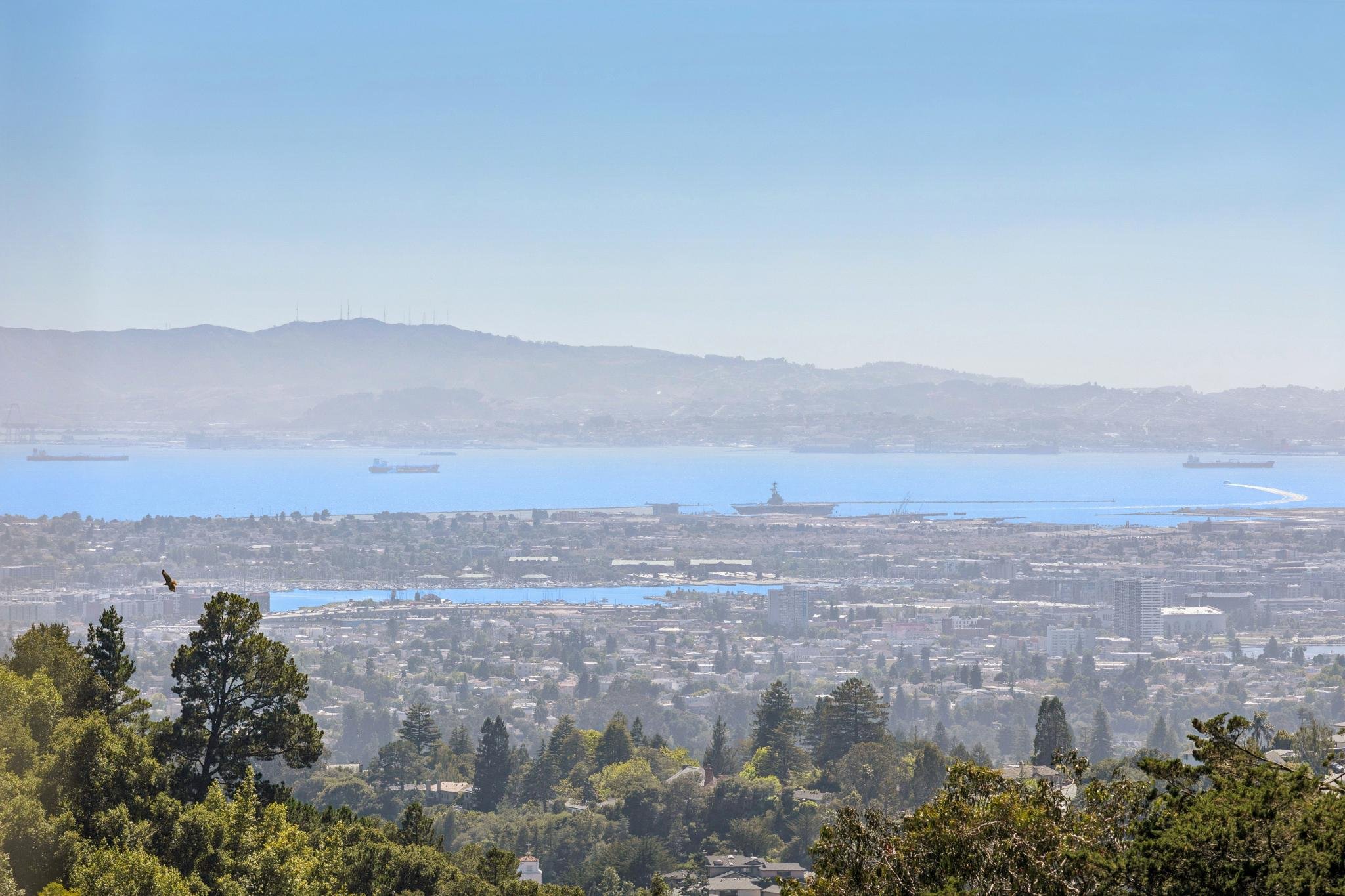 A scenic overlook of a city and body of water with ships, hills in the background, and a bird flying in the foreground.