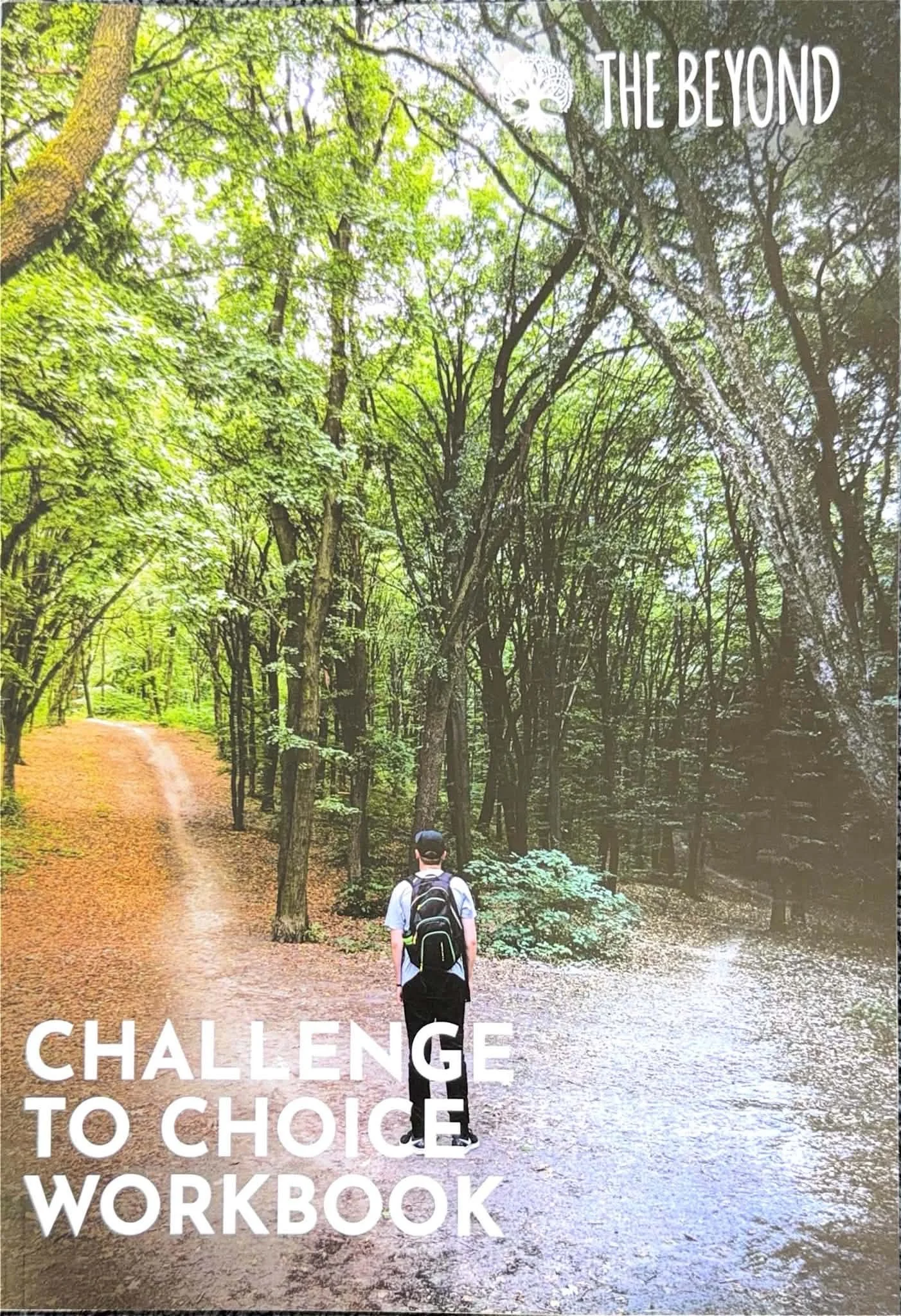 Challenge to Choice