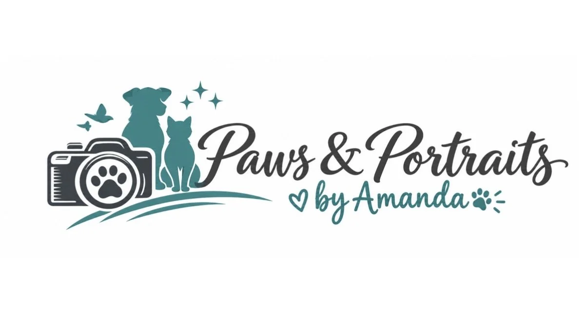 Logo for Paws & Portraits by Amanda featuring a camera with a paw print, a dog, a cat, butterflies, stars, a heart, and paw prints in teal and black text.