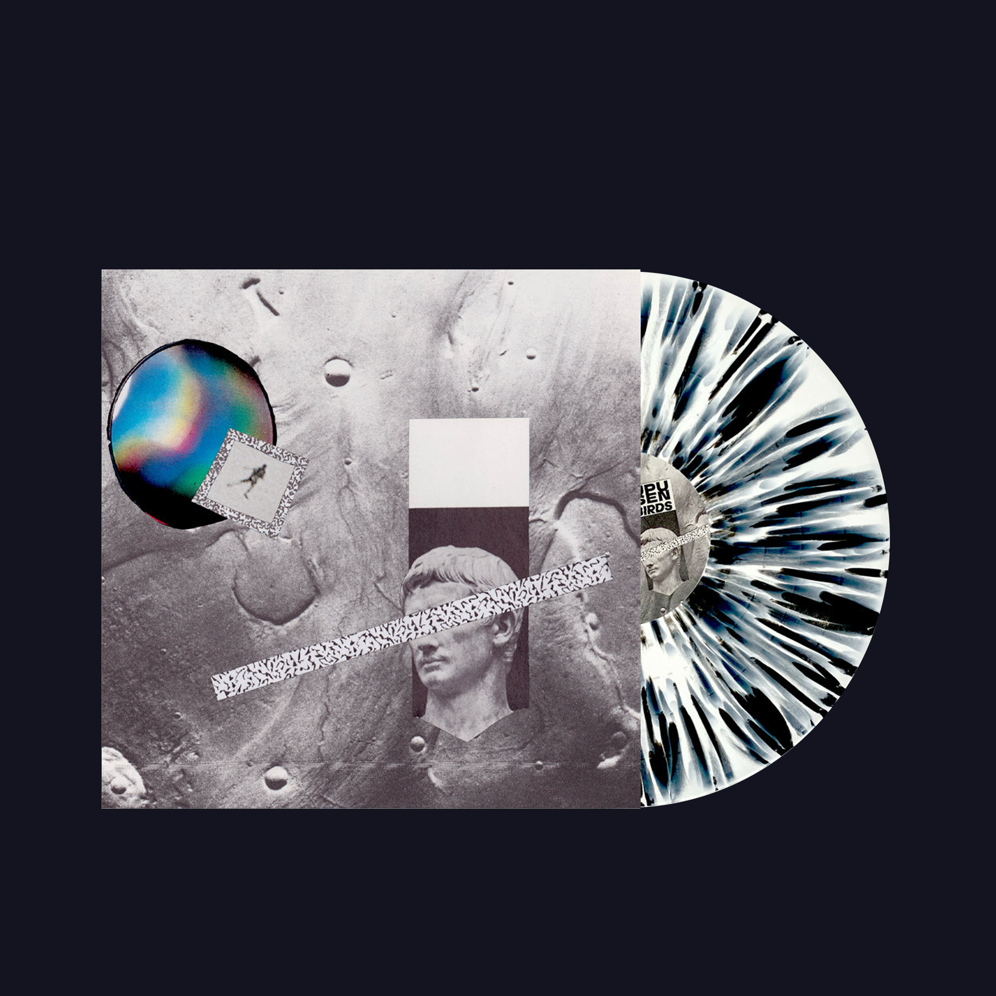 Birds by Upusen [Vinyl LP]
